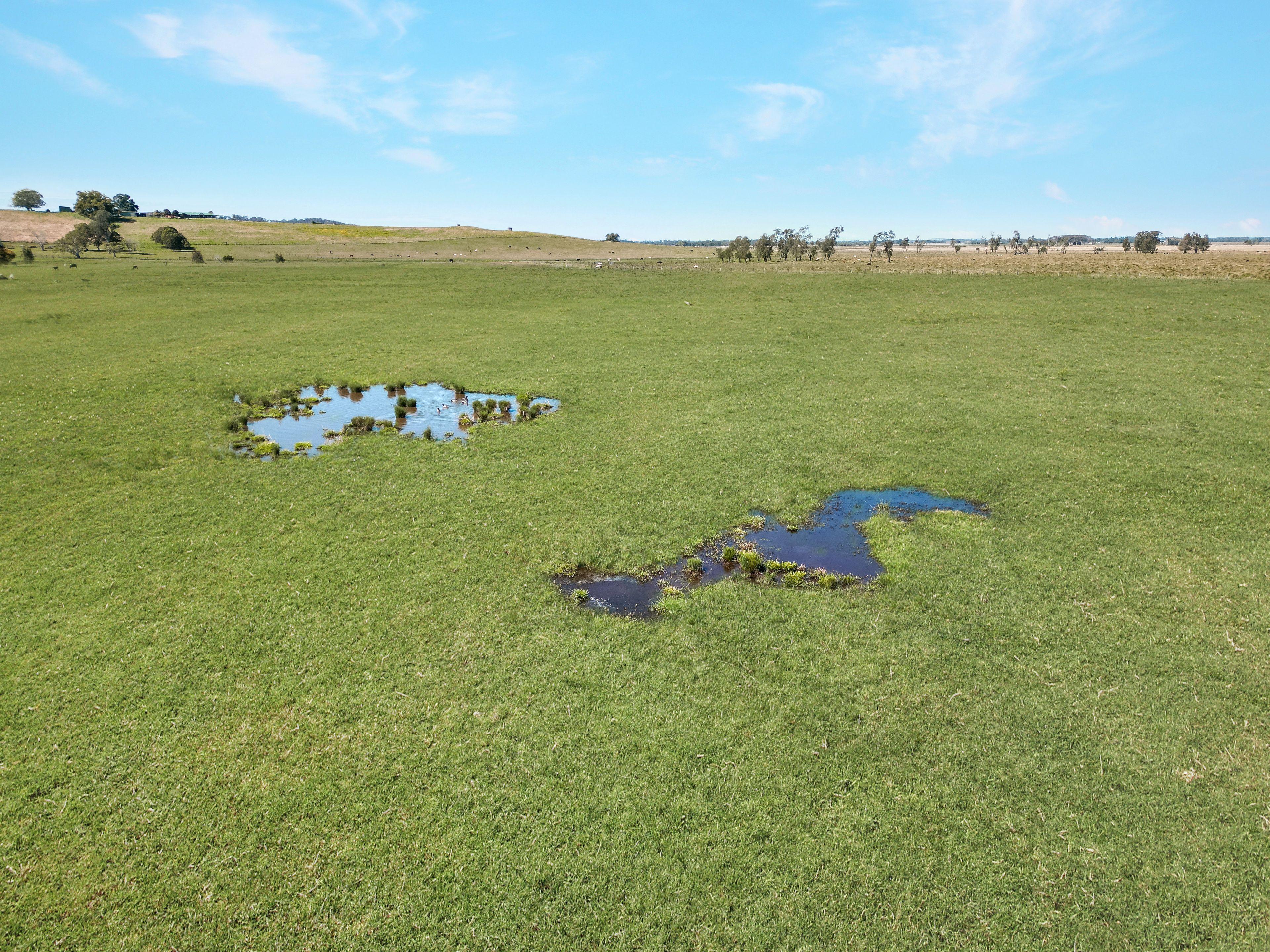 Acreage/Semi-Rural for Sale: Spring Grove, NSW 2470, NSW, 2470