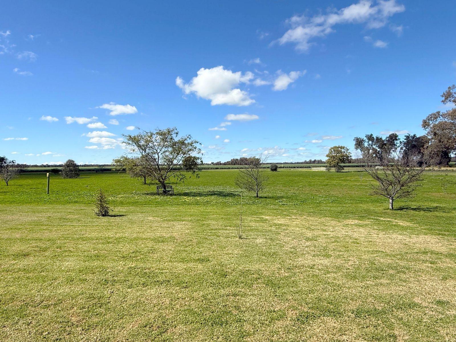 House for Sale: Moree, NSW 2400, NSW, 2400