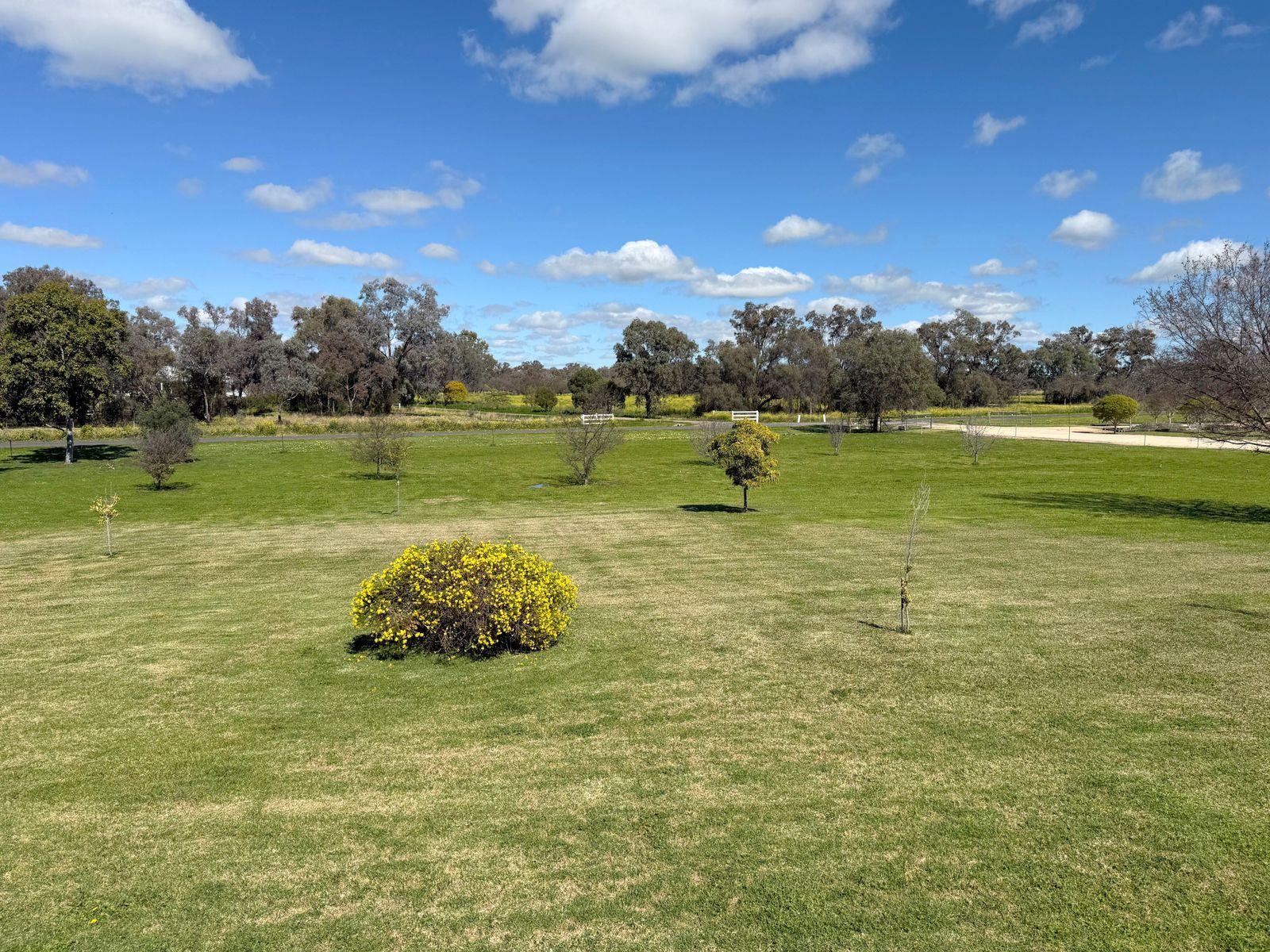 House for Sale: Moree, NSW 2400, NSW, 2400