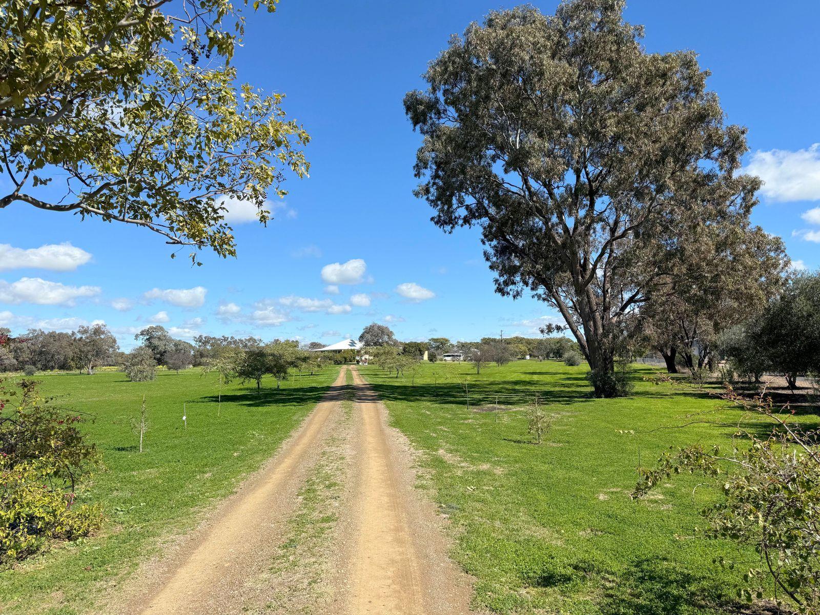 House for Sale: Moree, NSW 2400, NSW, 2400