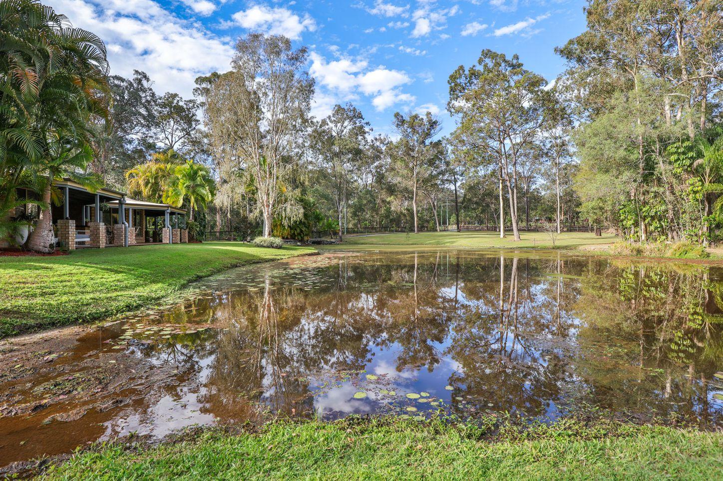 Property for Sale: Buccan, QLD 4207, QLD, 4207