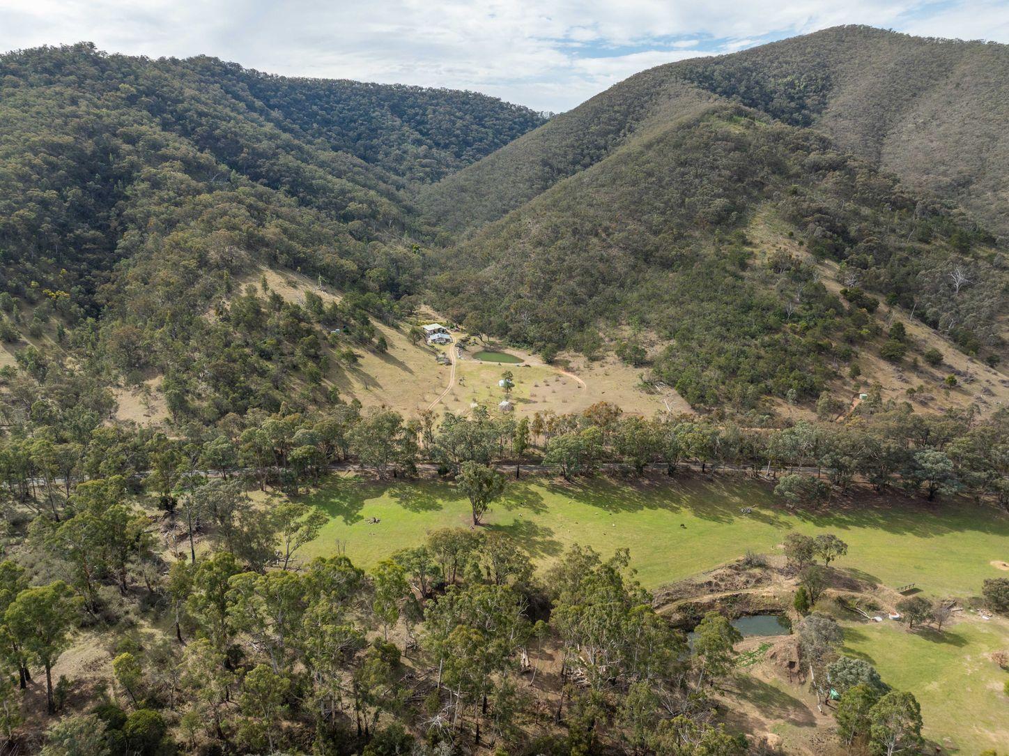 Property for Sale: Swifts Creek, VIC 3896, VIC, 3896