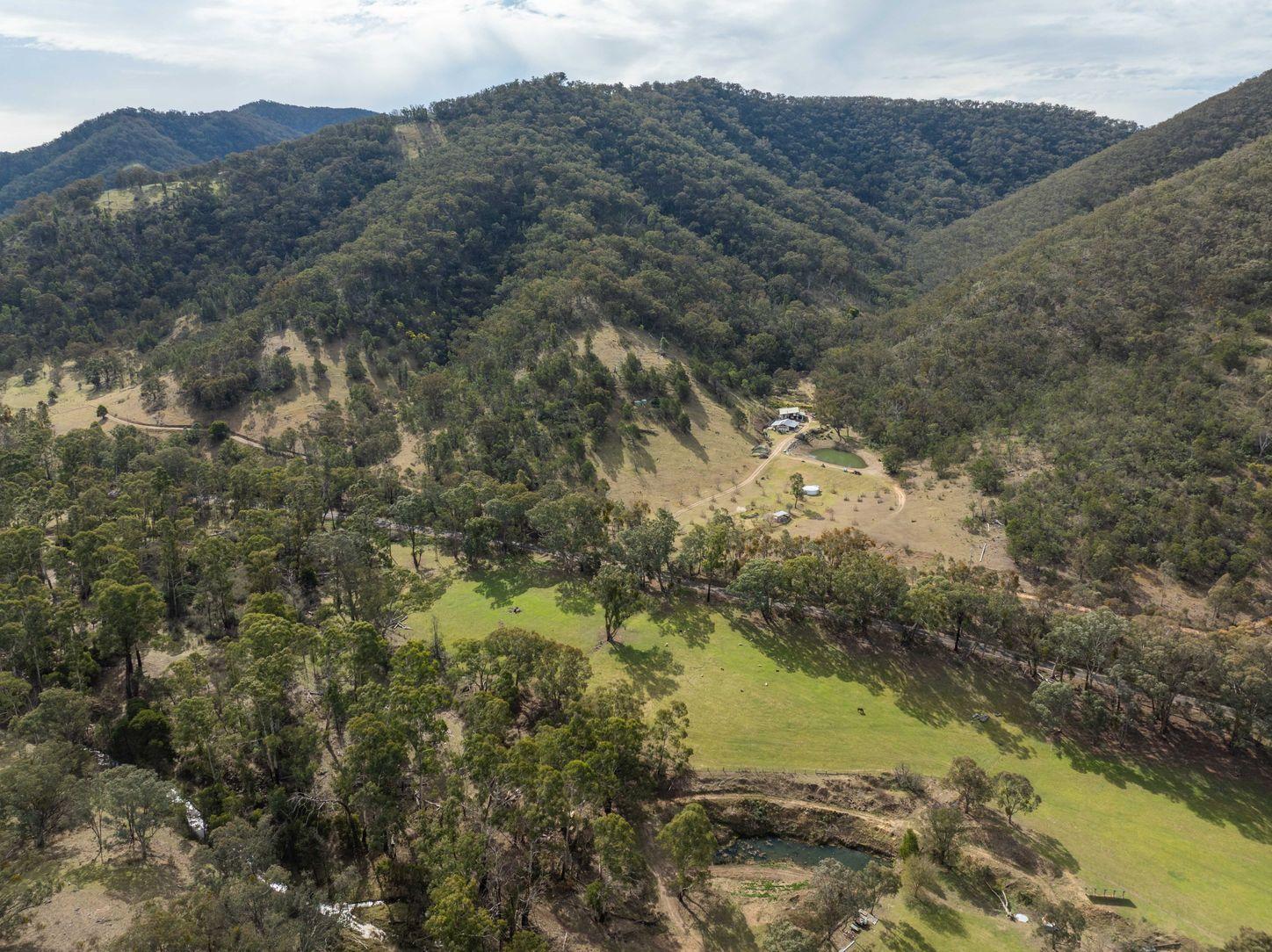 Property for Sale: Swifts Creek, VIC 3896, VIC, 3896