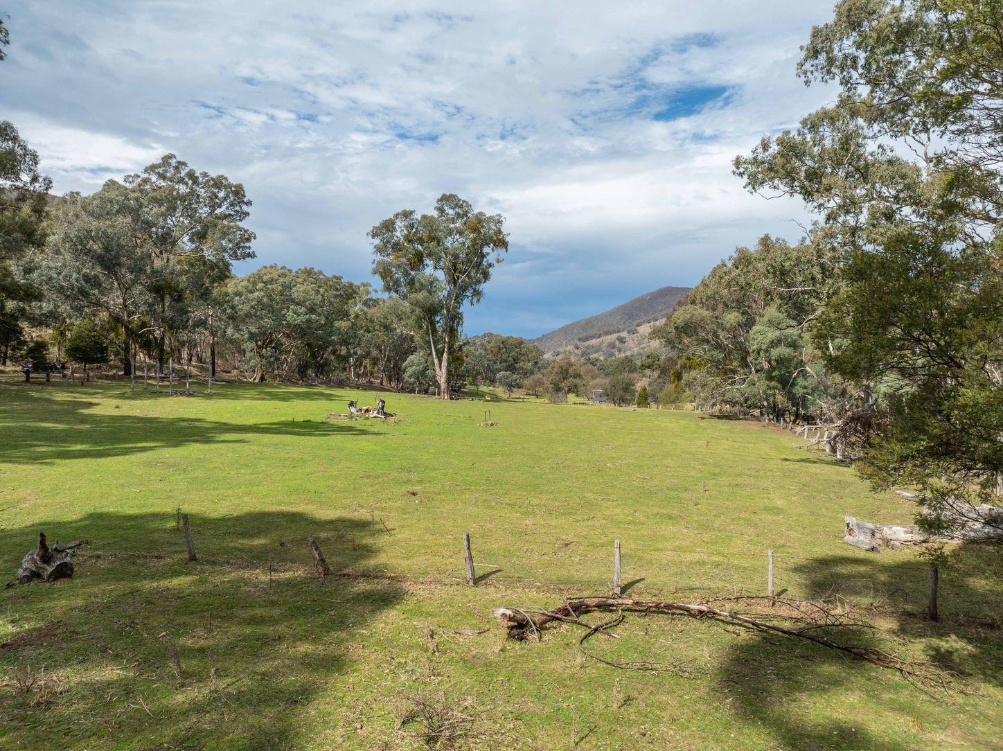 Property for Sale: Swifts Creek, VIC 3896, VIC, 3896