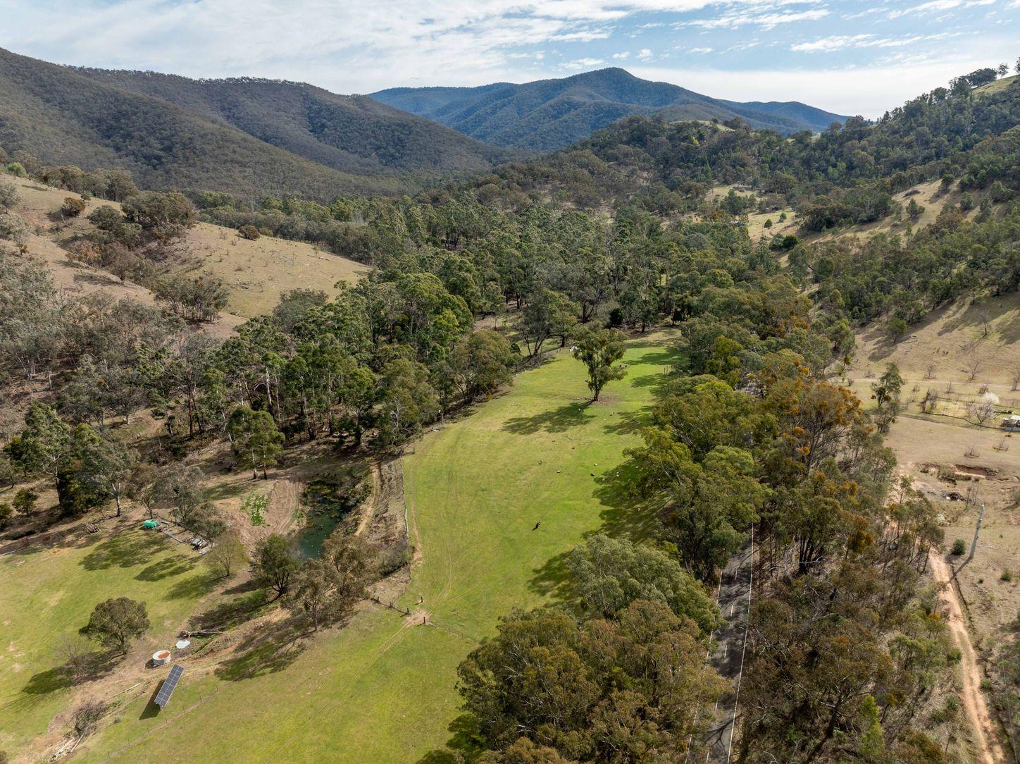 Property for Sale: Swifts Creek, VIC 3896, VIC, 3896
