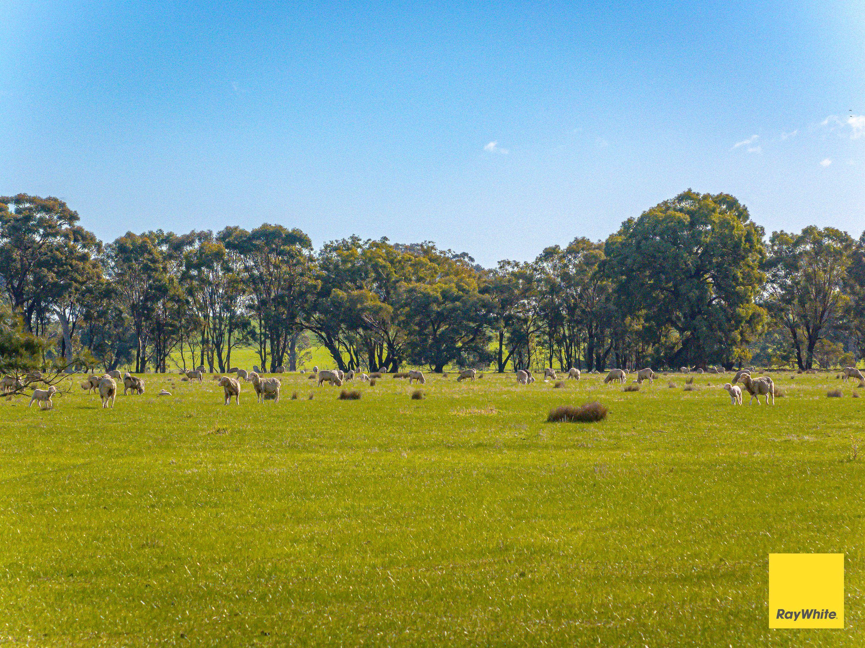 Lifestyle for Sale: Knowsley, VIC 3523, VIC, 3523