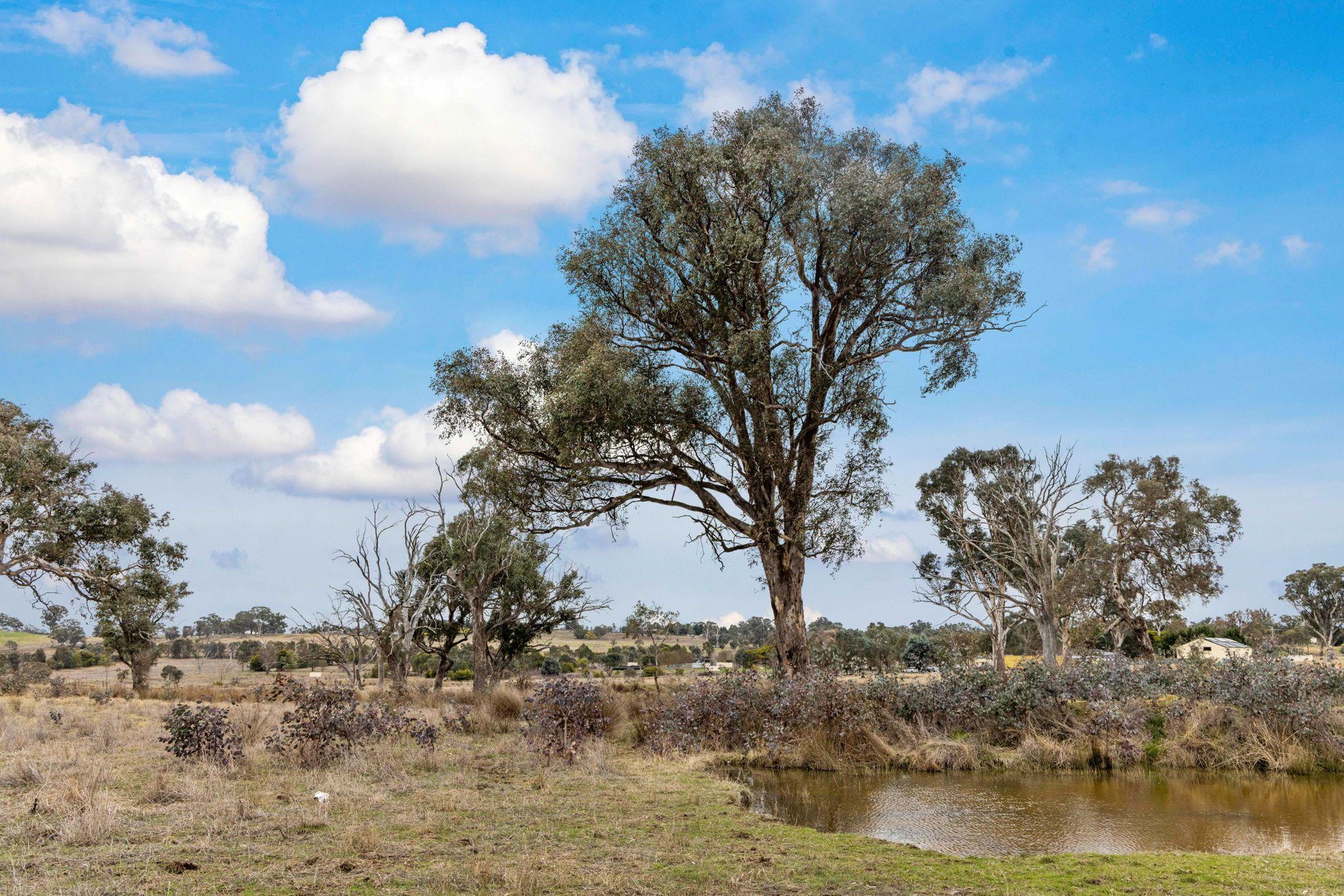Land for Sale: Murrumbateman, NSW 2582, NSW, 2582