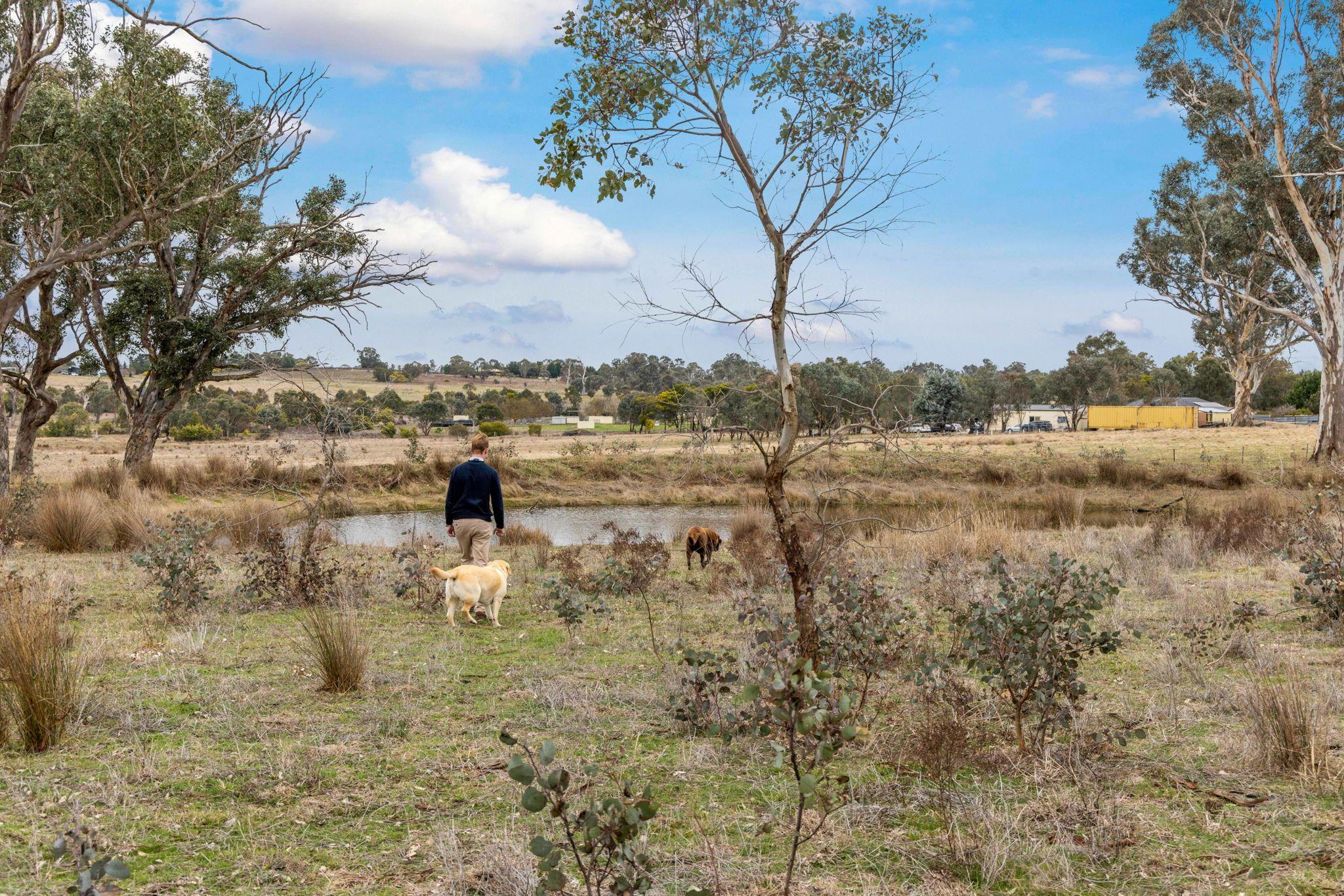 Land for Sale: Murrumbateman, NSW 2582, NSW, 2582