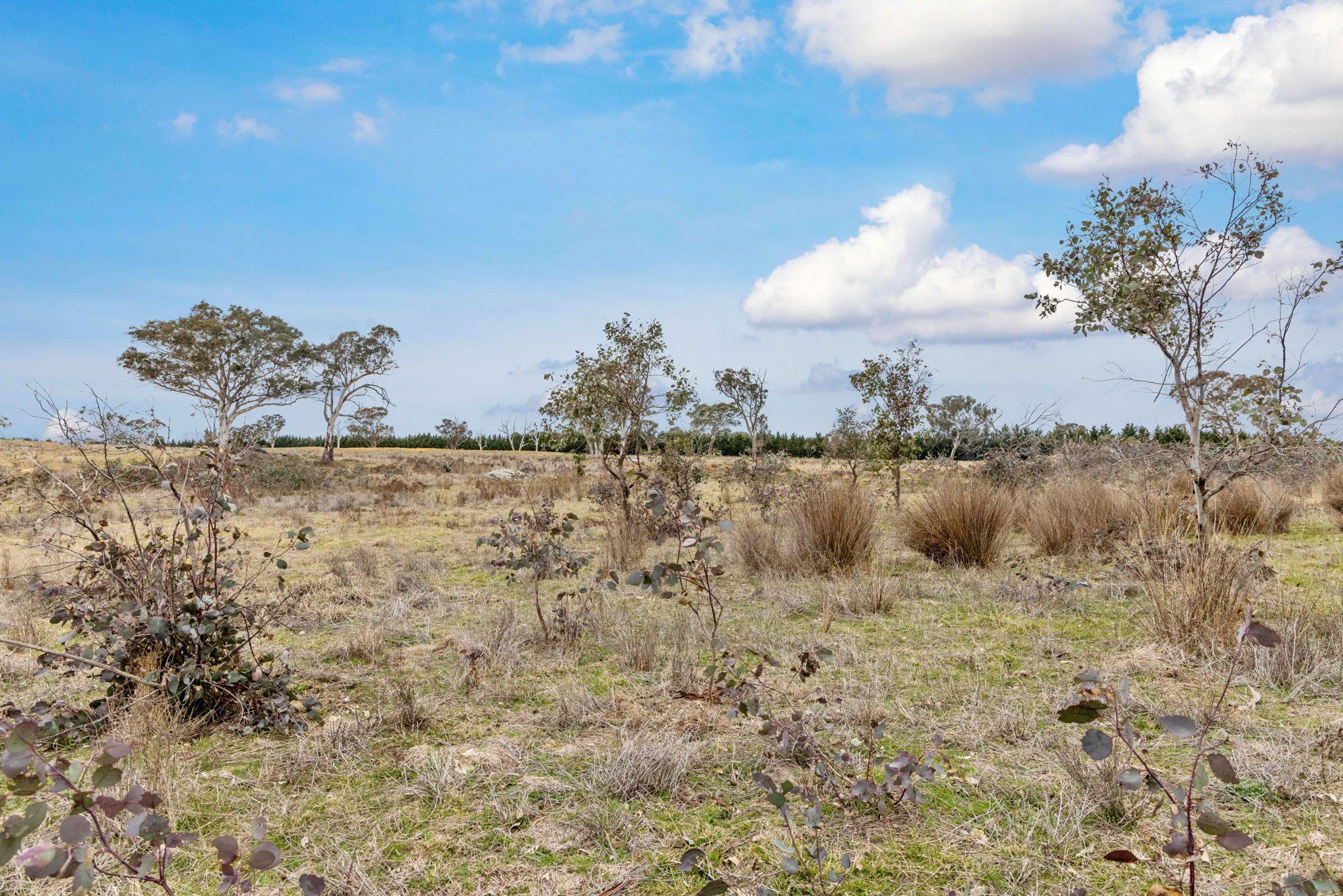 Land for Sale: Murrumbateman, NSW 2582, NSW, 2582