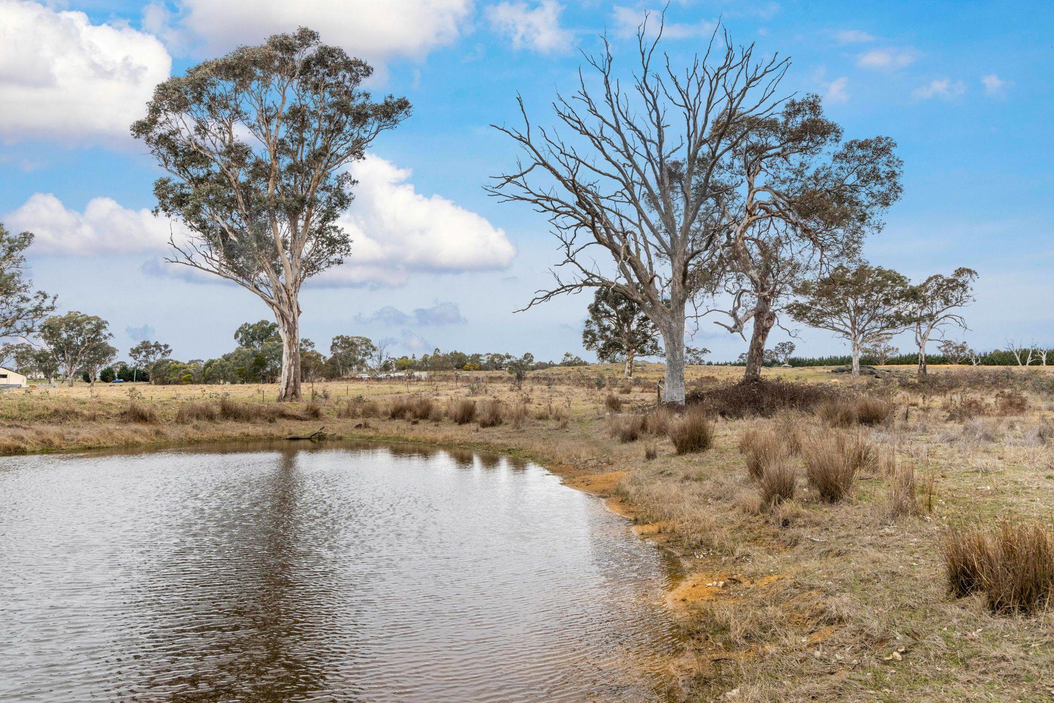 Land for Sale: Murrumbateman, NSW 2582, NSW, 2582