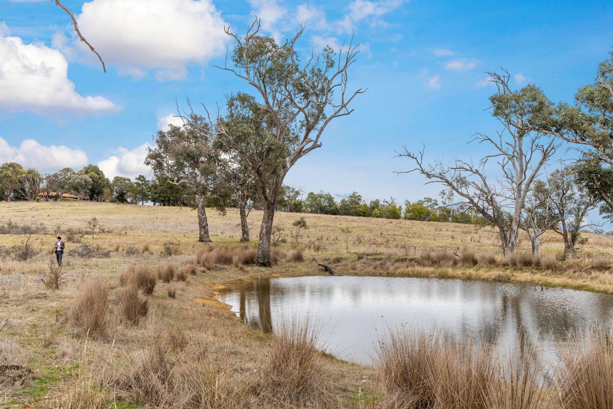 Land for Sale: Murrumbateman, NSW 2582, NSW, 2582