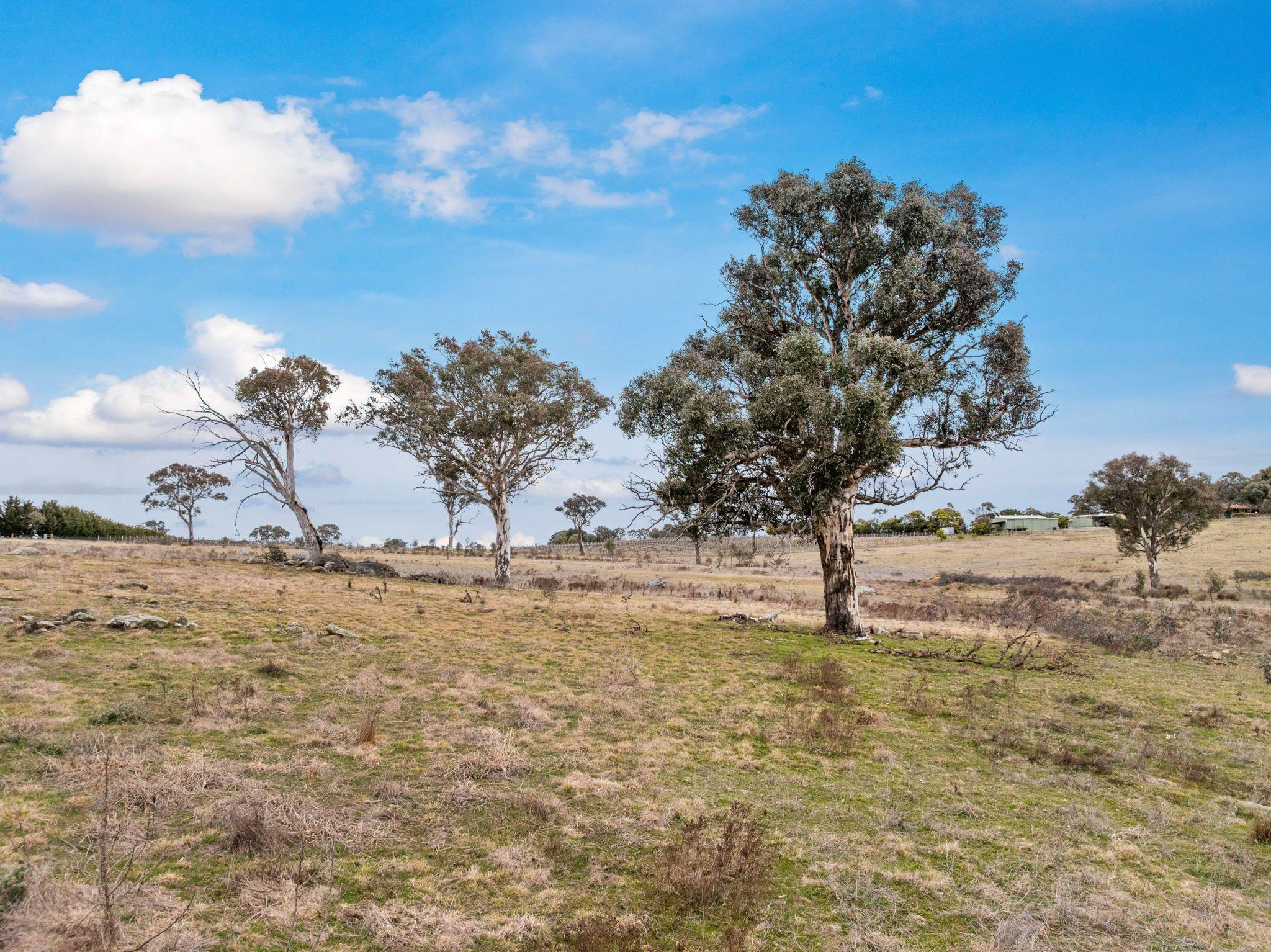Land for Sale: Murrumbateman, NSW 2582, NSW, 2582