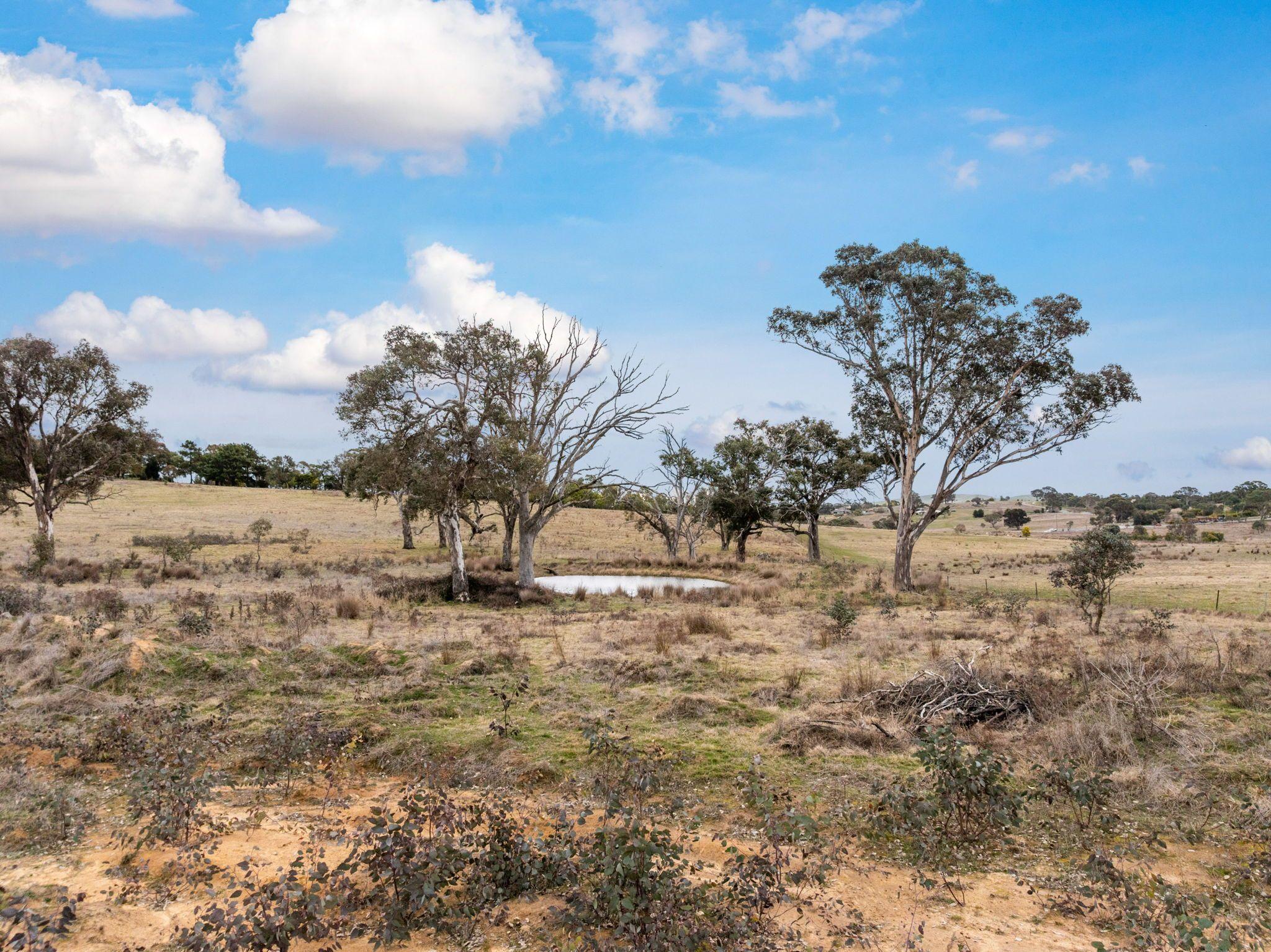Land for Sale: Murrumbateman, NSW 2582, NSW, 2582