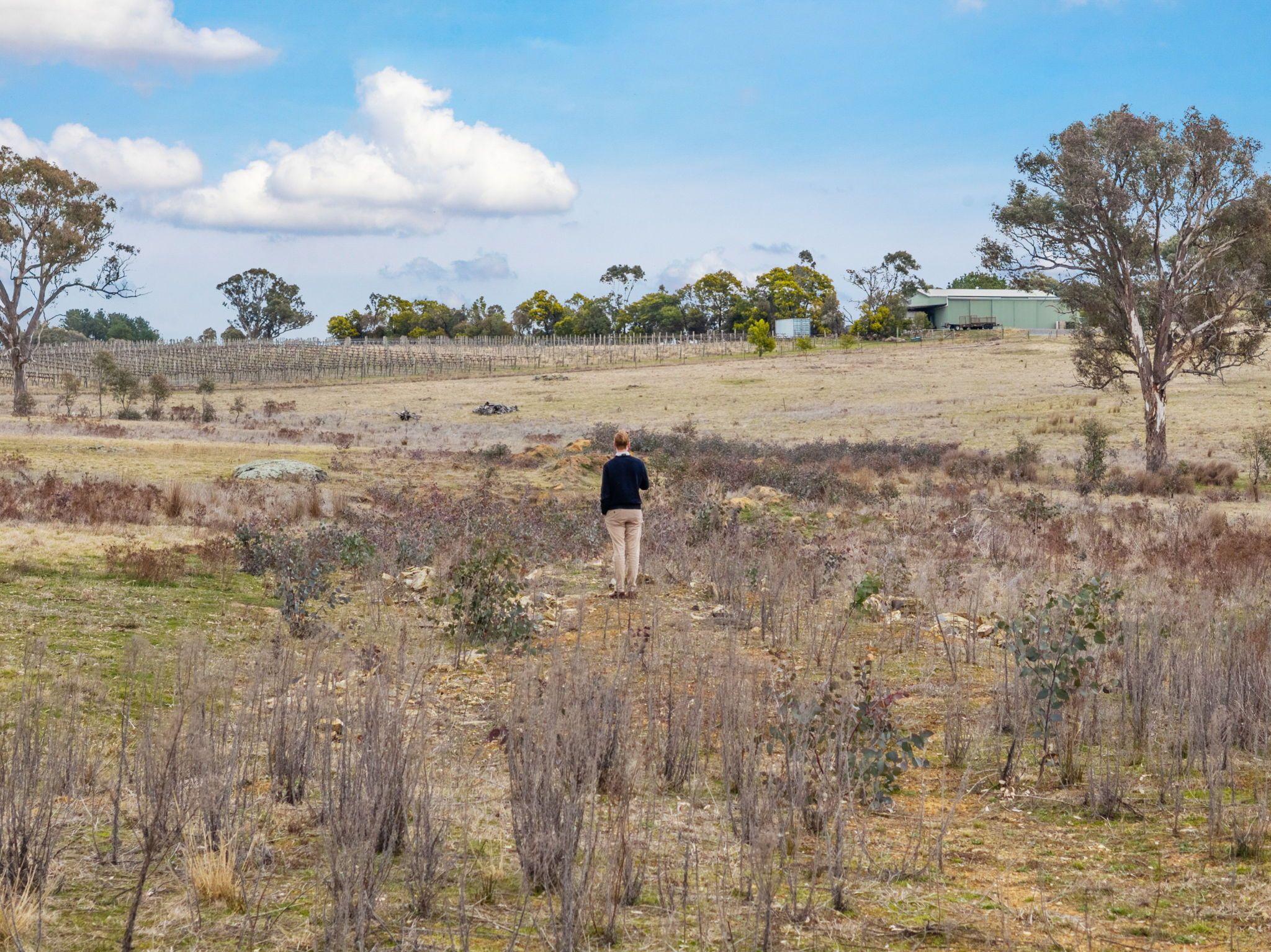 Land for Sale: Murrumbateman, NSW 2582, NSW, 2582