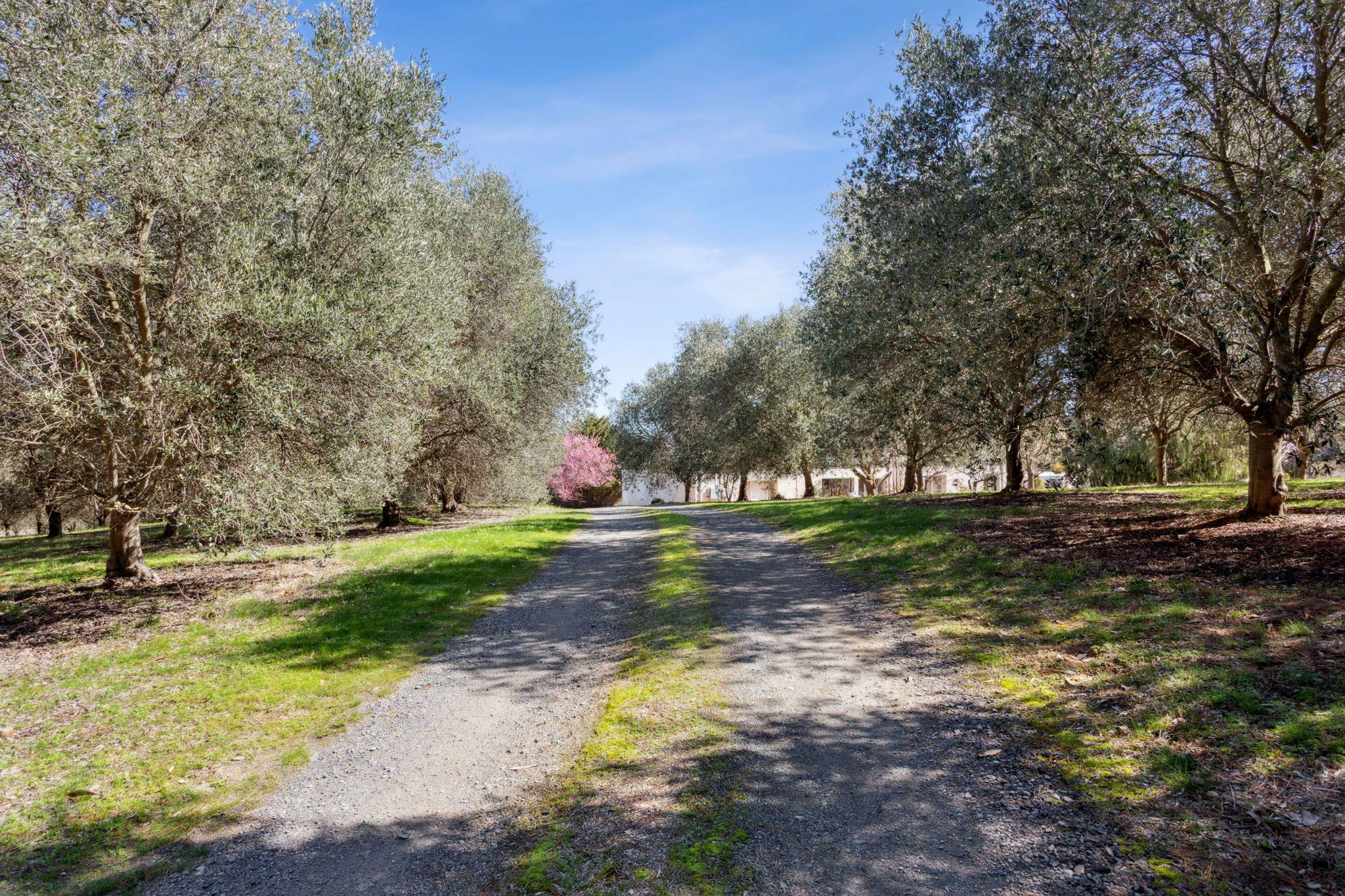 Acreage/Semi-Rural for Sale: Yass, NSW 2582, NSW, 2582