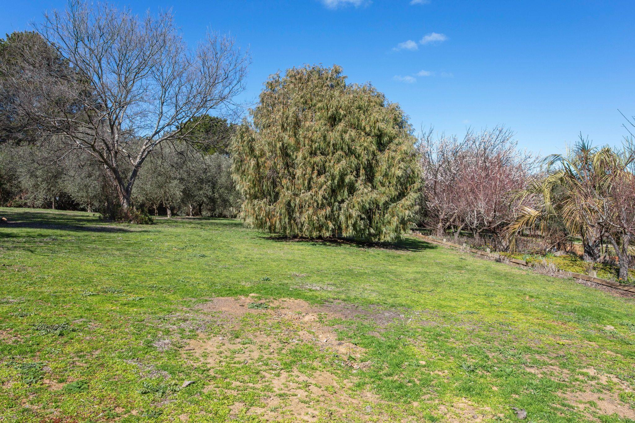 Acreage/Semi-Rural for Sale: Yass, NSW 2582, NSW, 2582