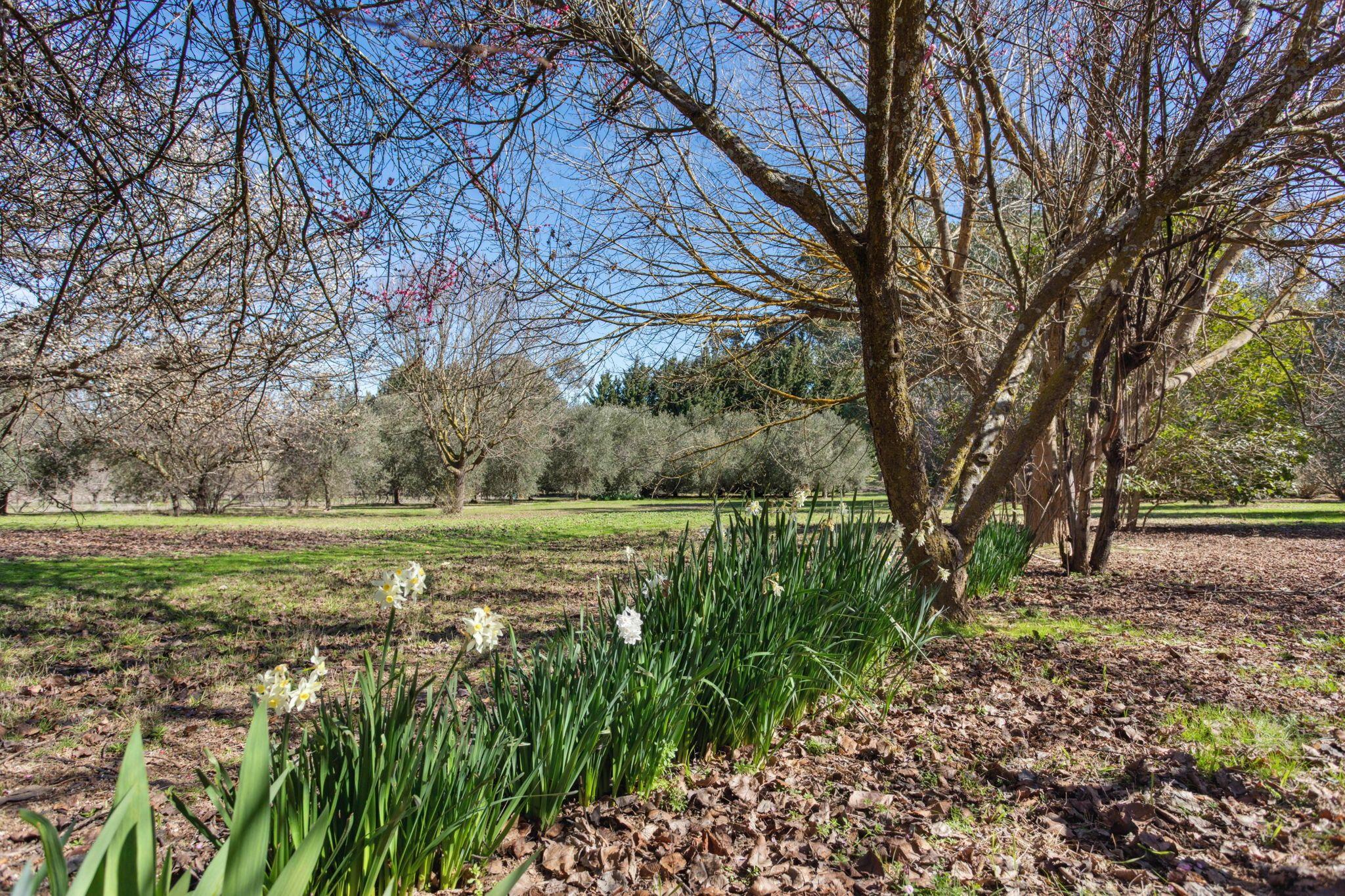 Acreage/Semi-Rural for Sale: Yass, NSW 2582, NSW, 2582