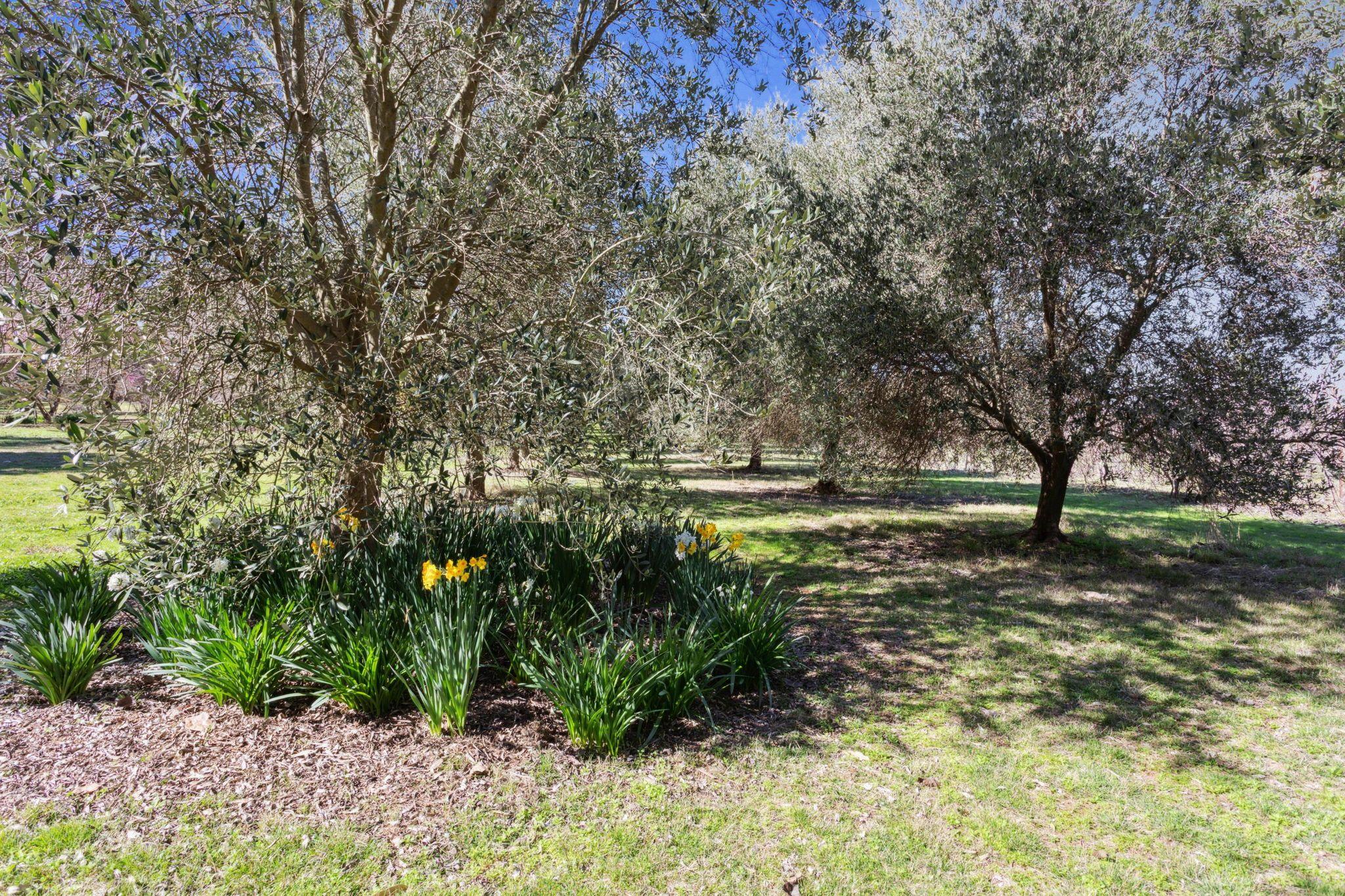 Acreage/Semi-Rural for Sale: Yass, NSW 2582, NSW, 2582