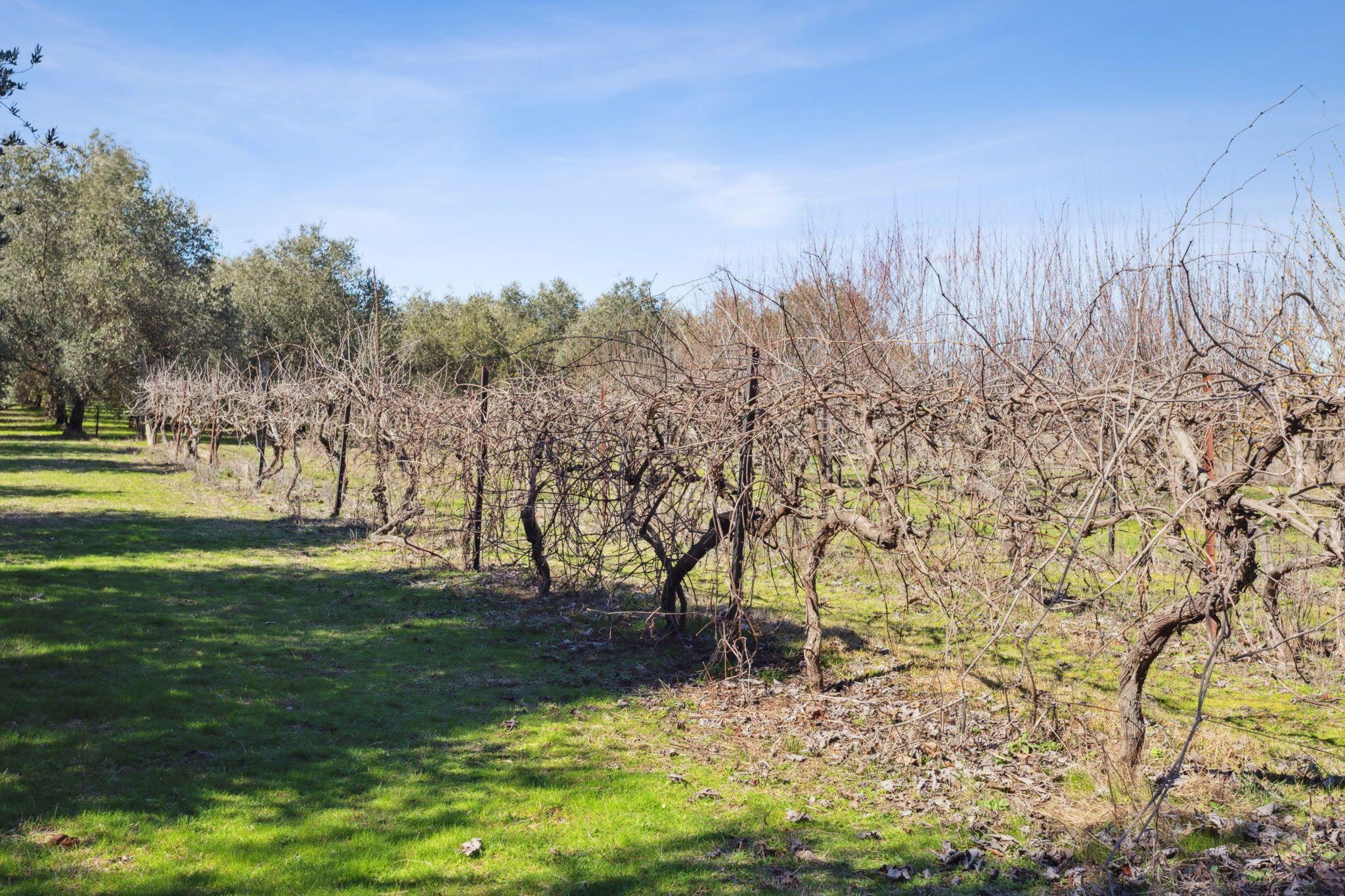 Acreage/Semi-Rural for Sale: Yass, NSW 2582, NSW, 2582