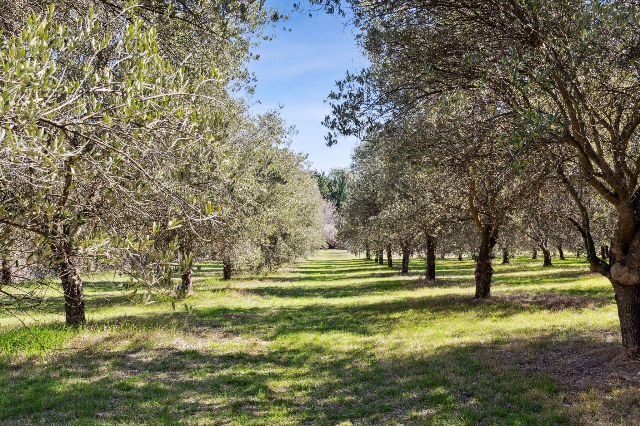 Acreage/Semi-Rural for Sale: Yass, NSW 2582, NSW, 2582