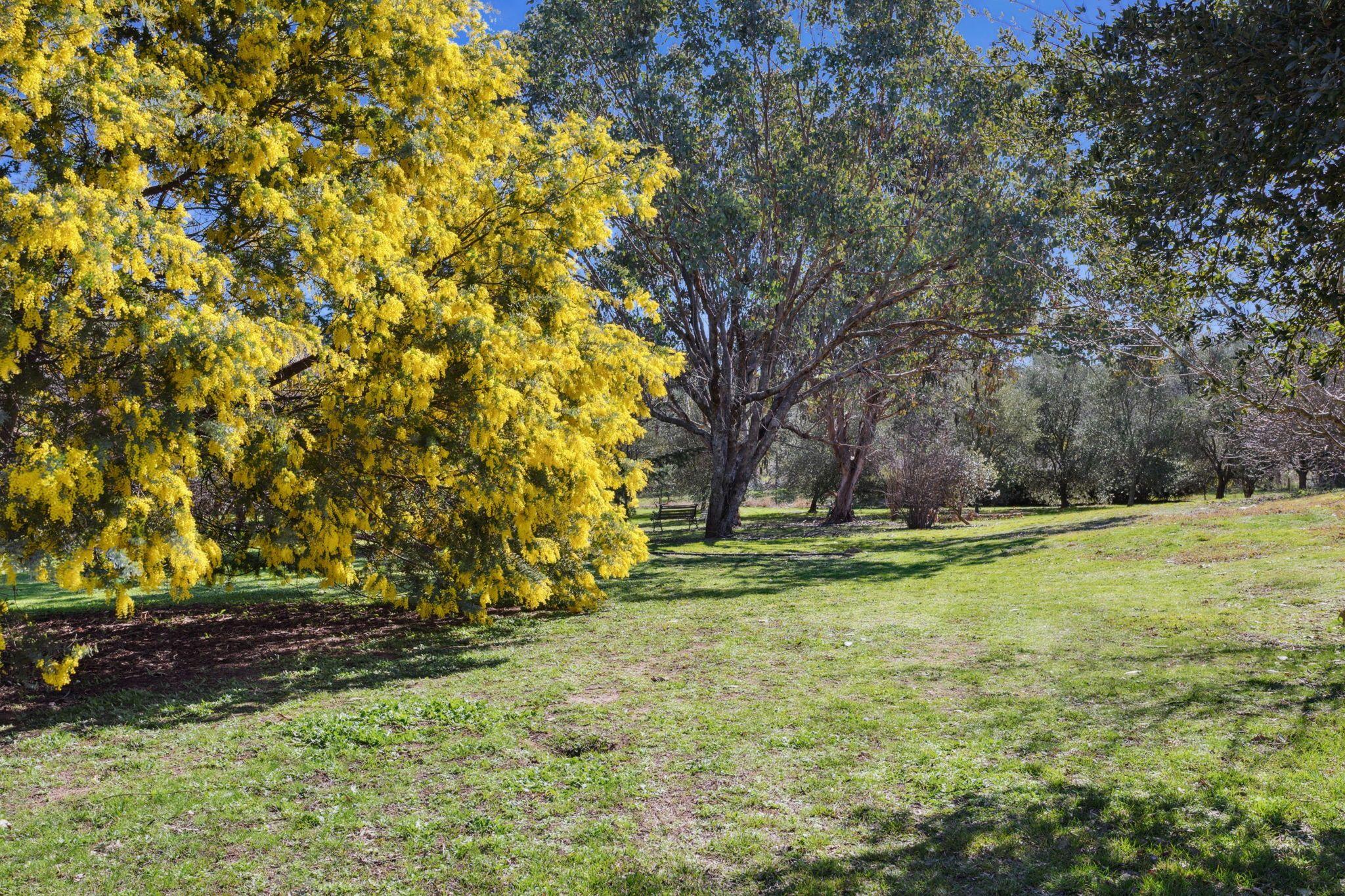 Acreage/Semi-Rural for Sale: Yass, NSW 2582, NSW, 2582
