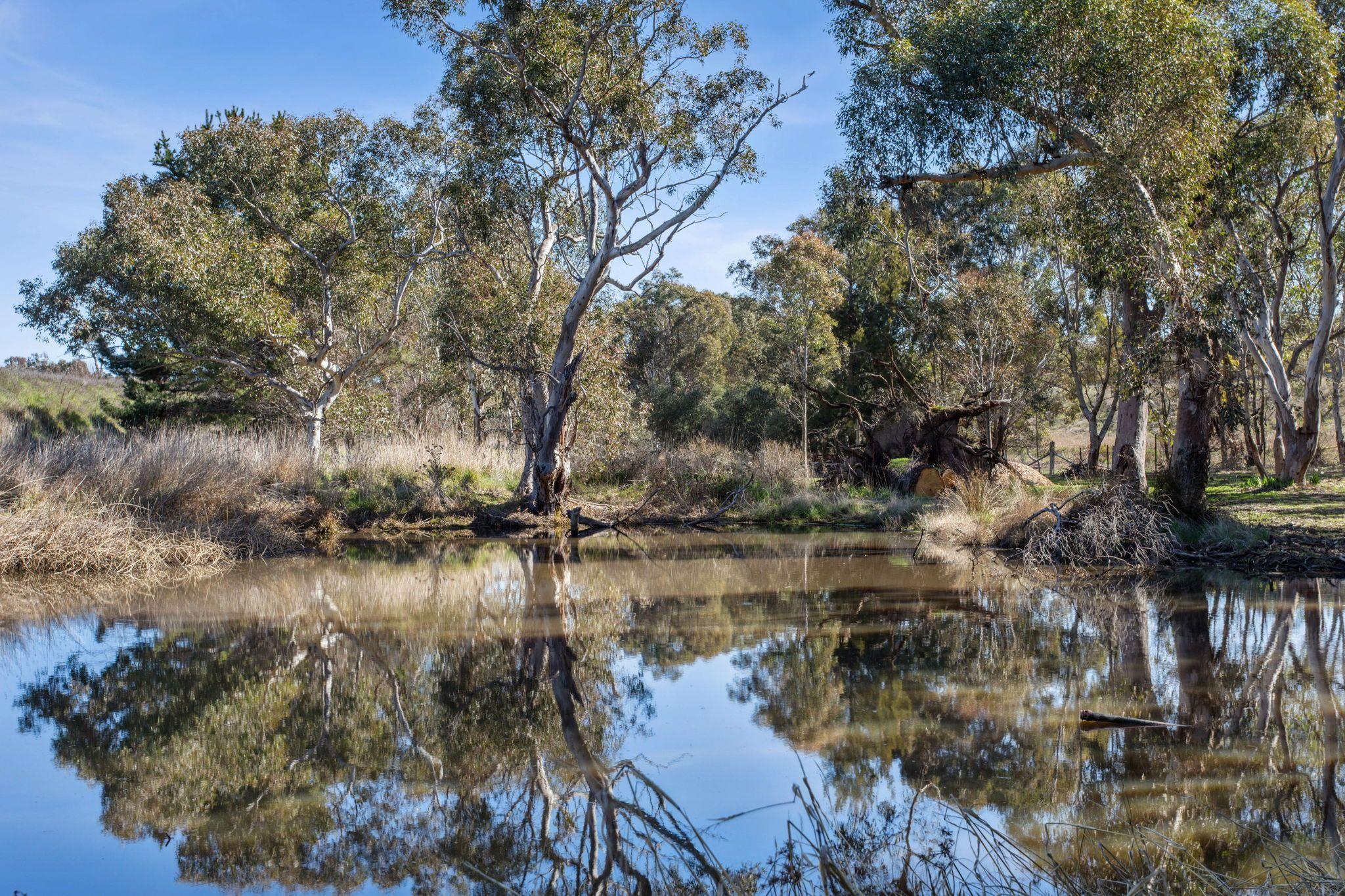 Acreage/Semi-Rural for Sale: Yass, NSW 2582, NSW, 2582