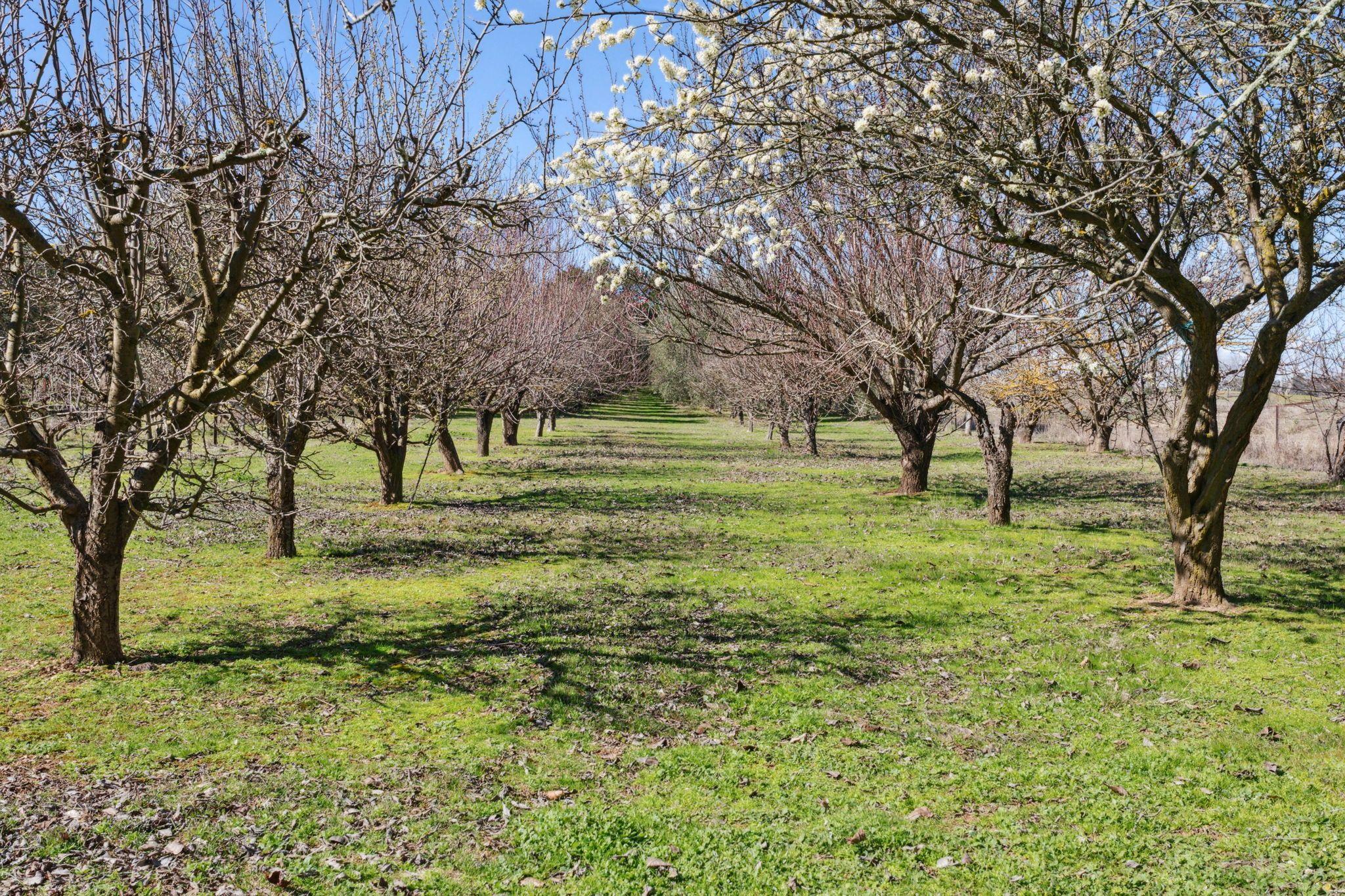 Acreage/Semi-Rural for Sale: Yass, NSW 2582, NSW, 2582