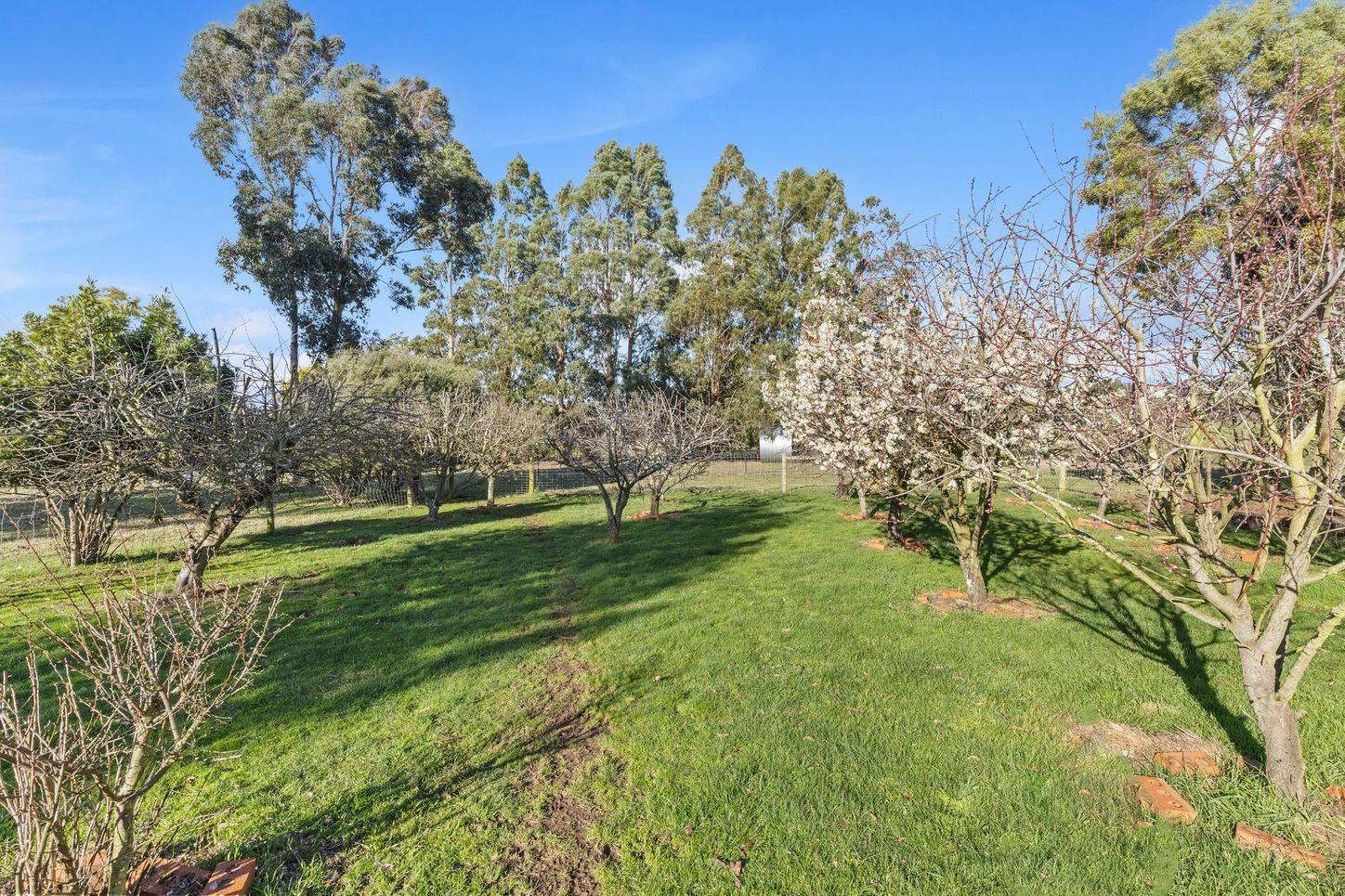 House for Sale: Westbury, TAS 7303, TAS, 7303