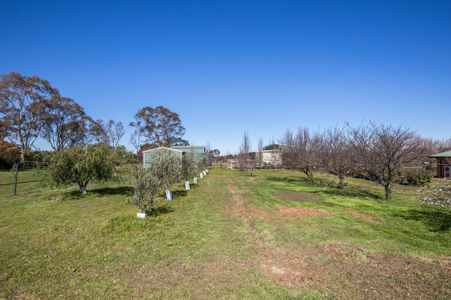 House for Sale: Mount Barker, SA 5251, SA, 5251
