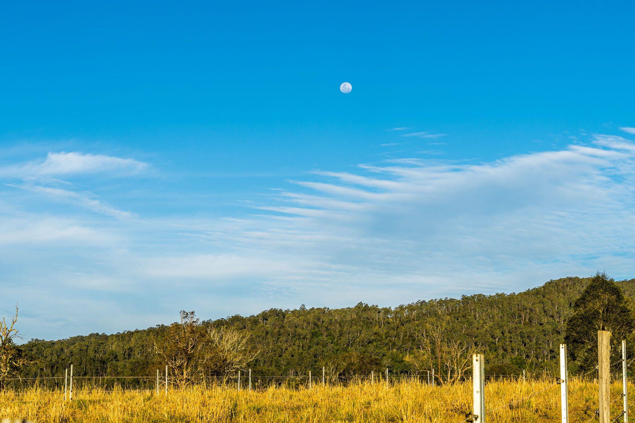 Mixed Farming for Sale: Old Bonalbo, NSW 2469, NSW, 2469