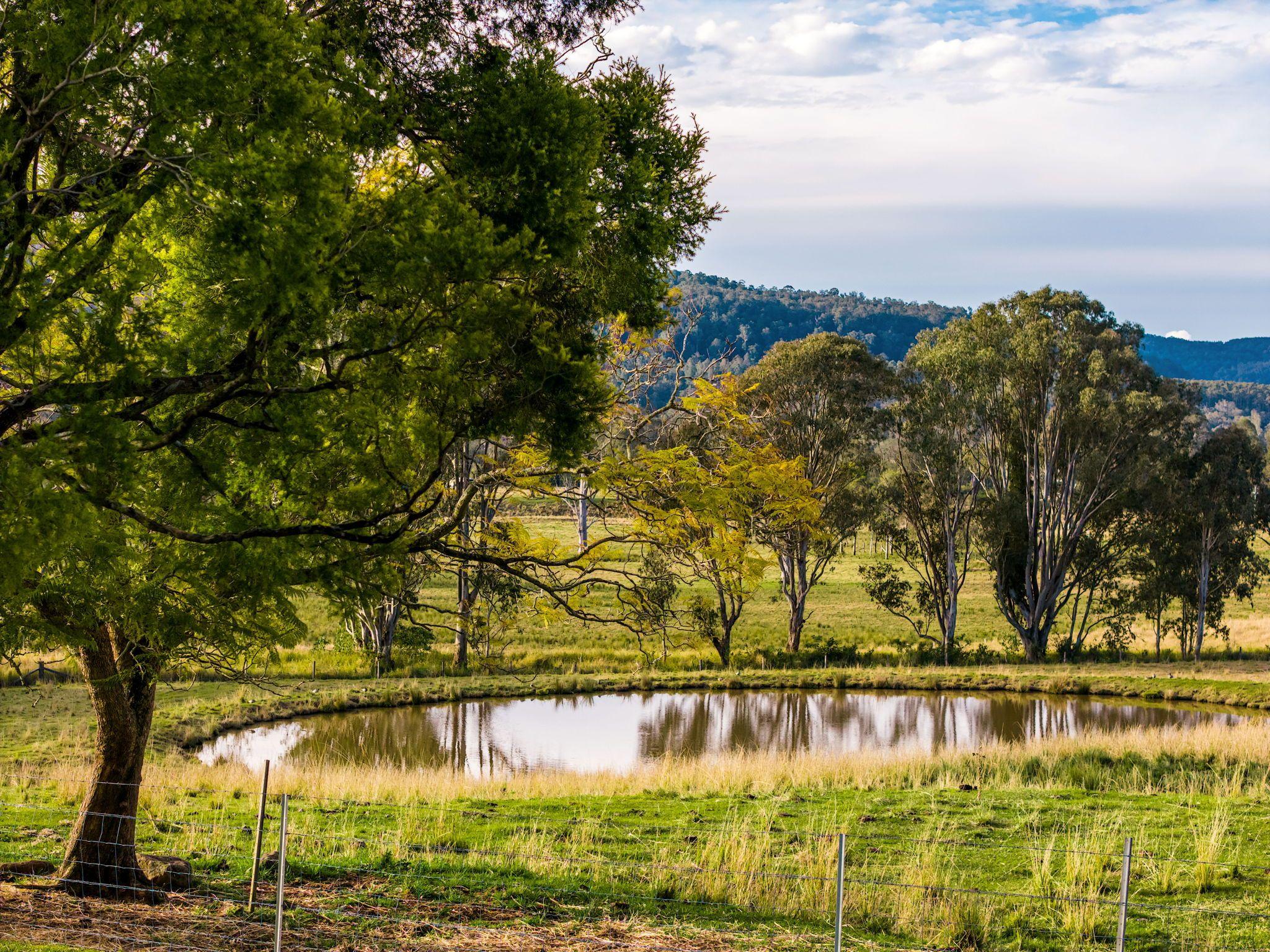 Mixed Farming for Sale: Old Bonalbo, NSW 2469, NSW, 2469