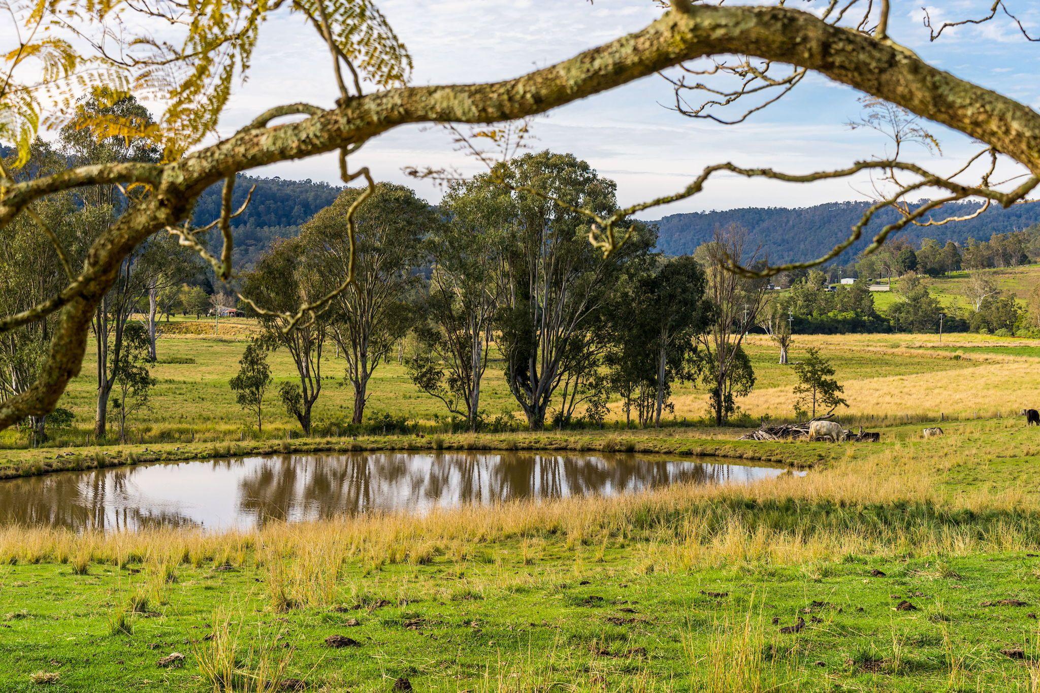 Mixed Farming for Sale: Old Bonalbo, NSW 2469, NSW, 2469