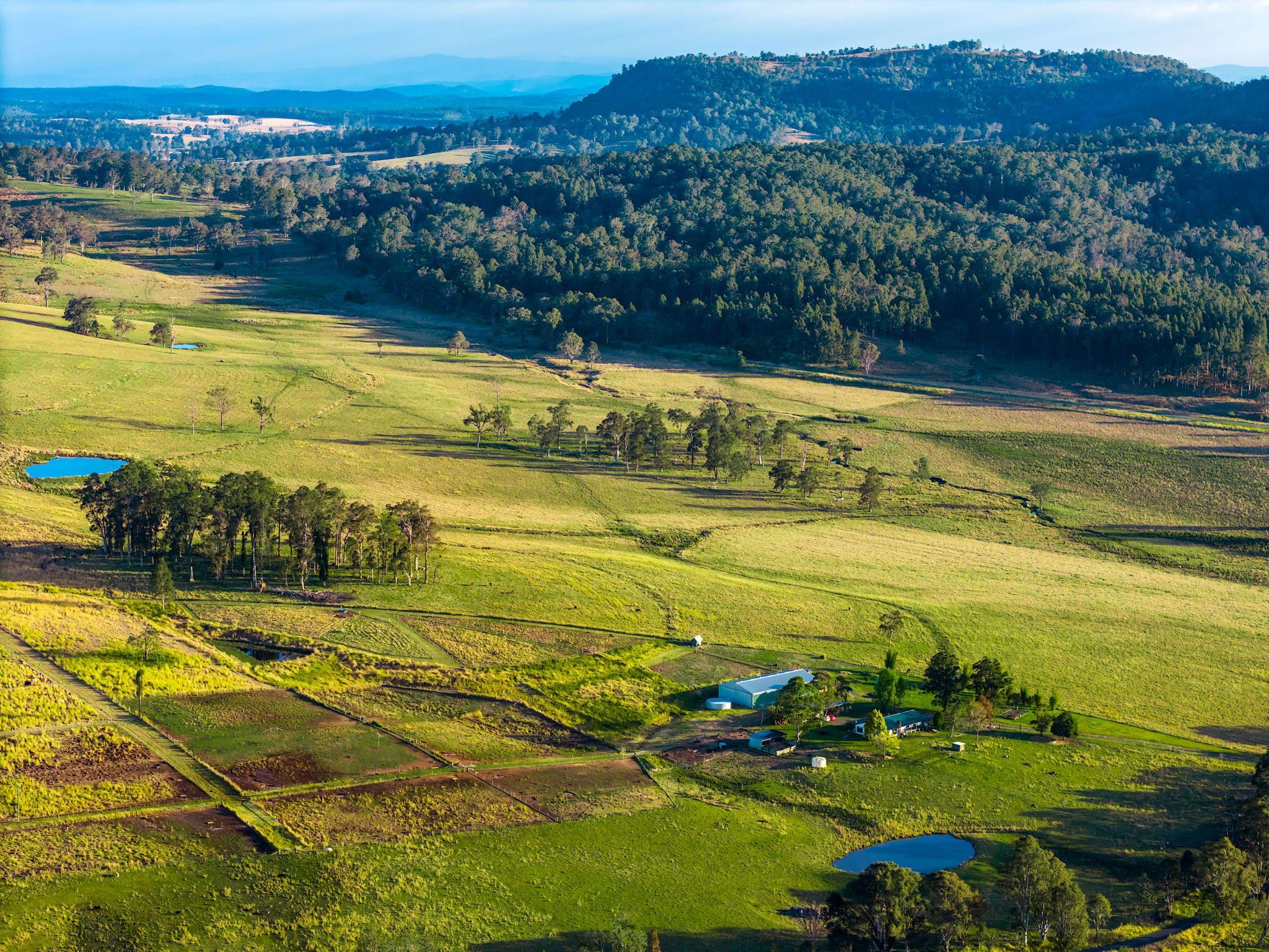 Mixed Farming for Sale: Old Bonalbo, NSW 2469, NSW, 2469