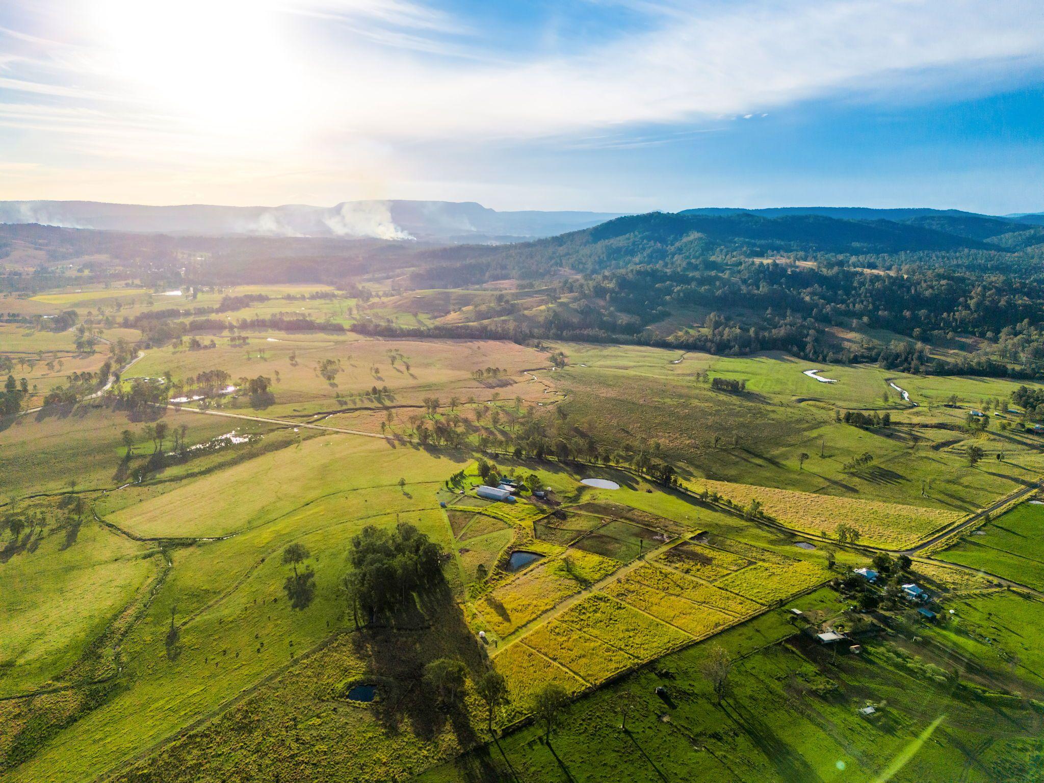 Mixed Farming for Sale: Old Bonalbo, NSW 2469, NSW, 2469