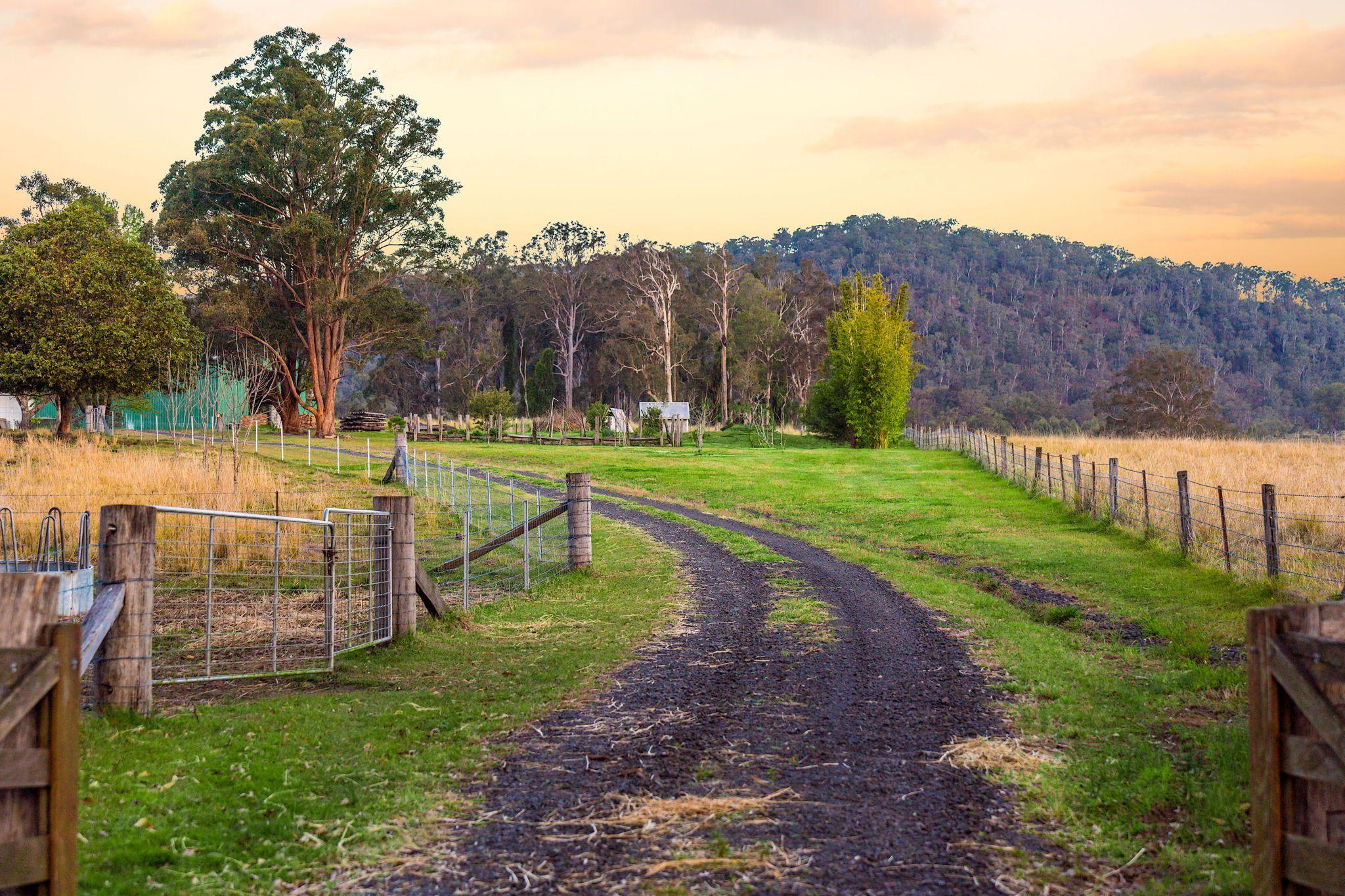 Mixed Farming for Sale: Old Bonalbo, NSW 2469, NSW, 2469