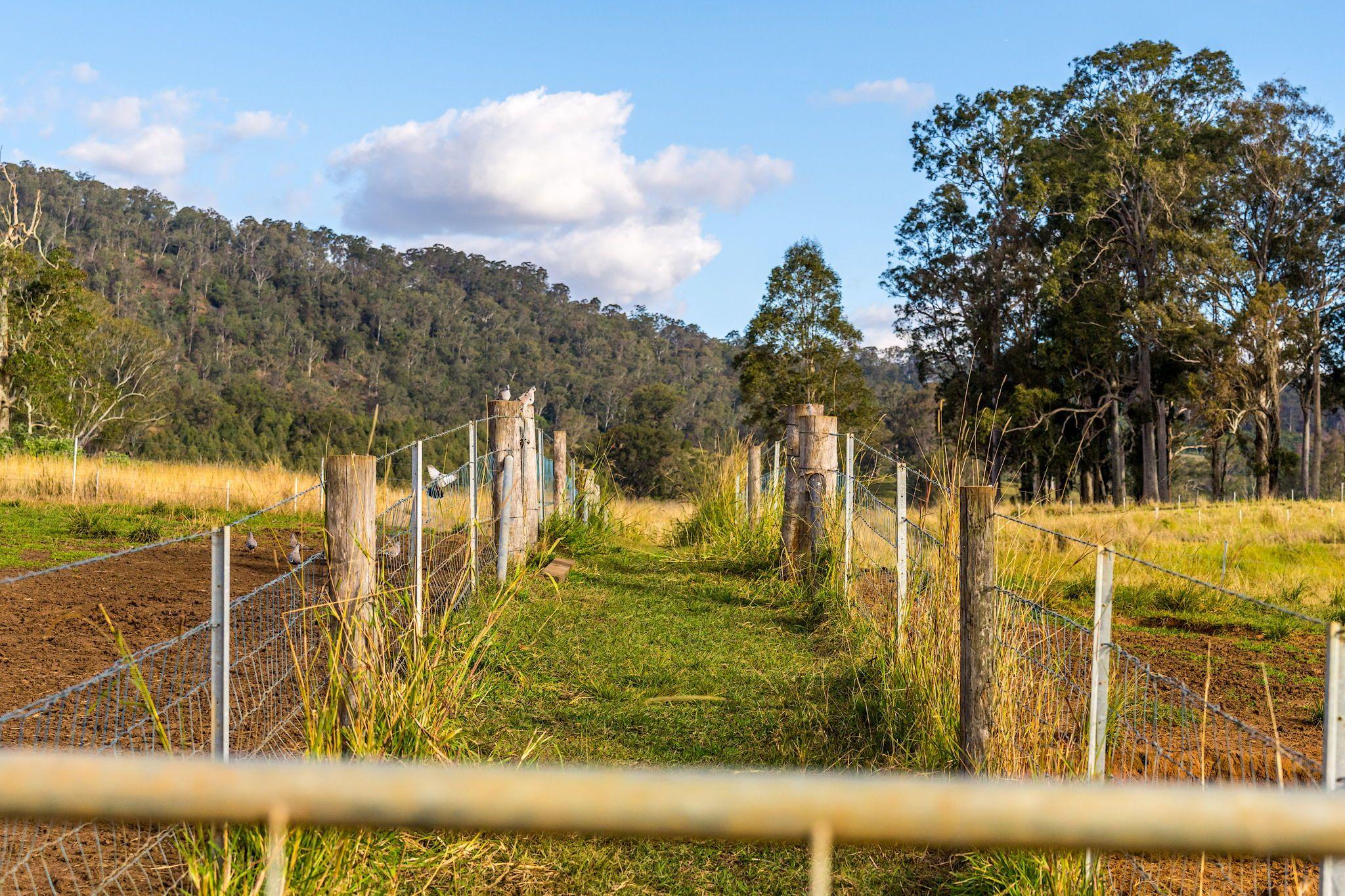 Mixed Farming for Sale: Old Bonalbo, NSW 2469, NSW, 2469