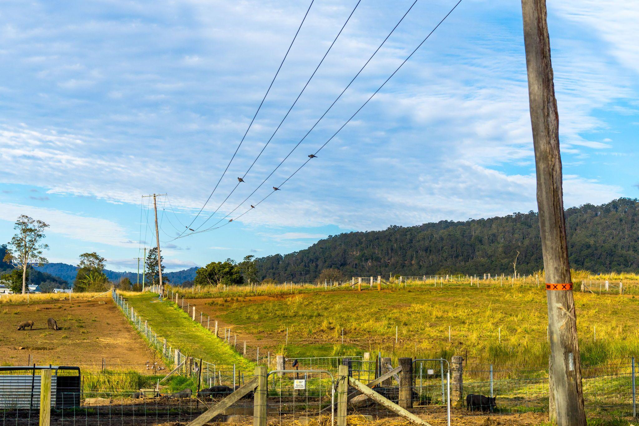 Mixed Farming for Sale: Old Bonalbo, NSW 2469, NSW, 2469