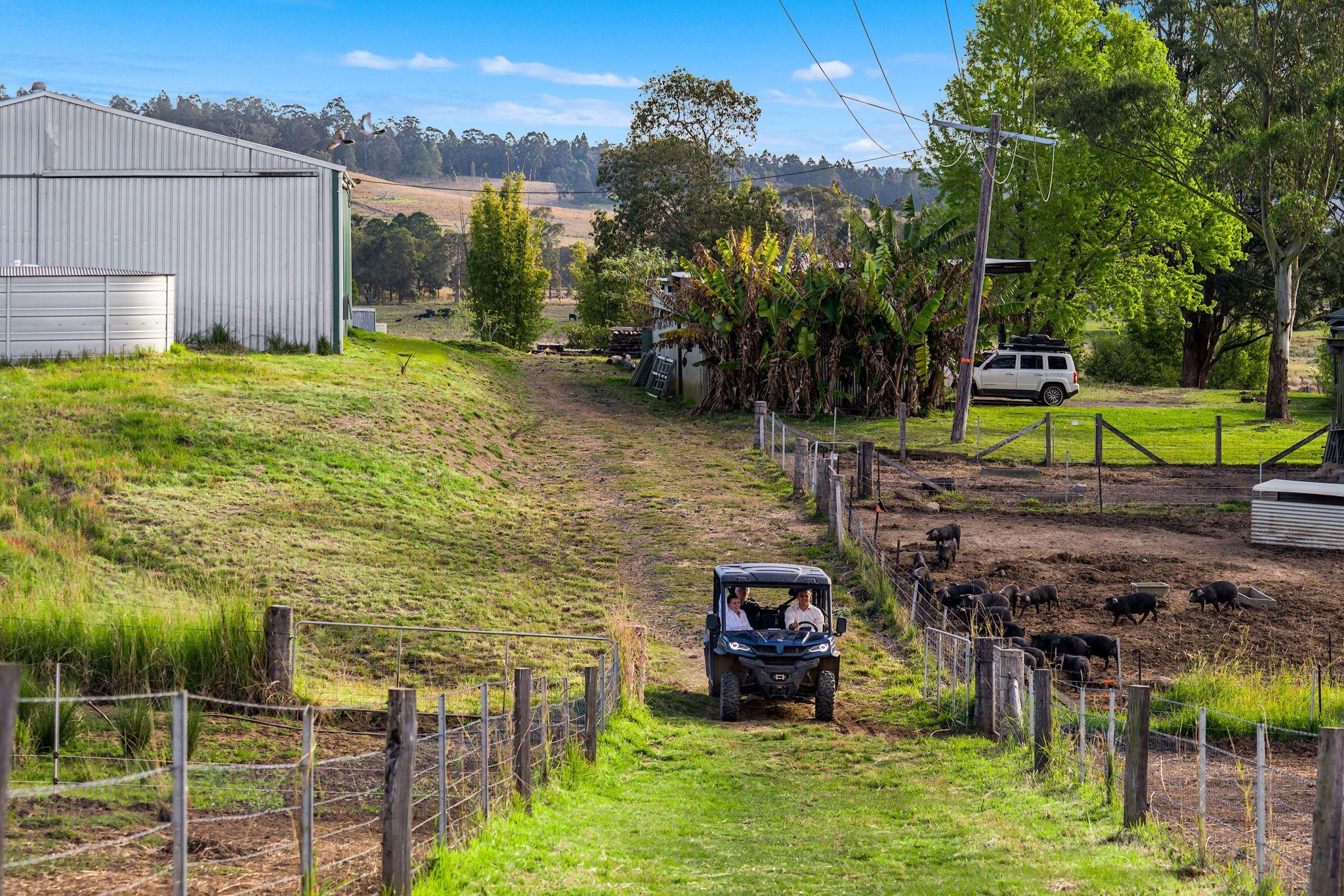 Mixed Farming for Sale: Old Bonalbo, NSW 2469, NSW, 2469