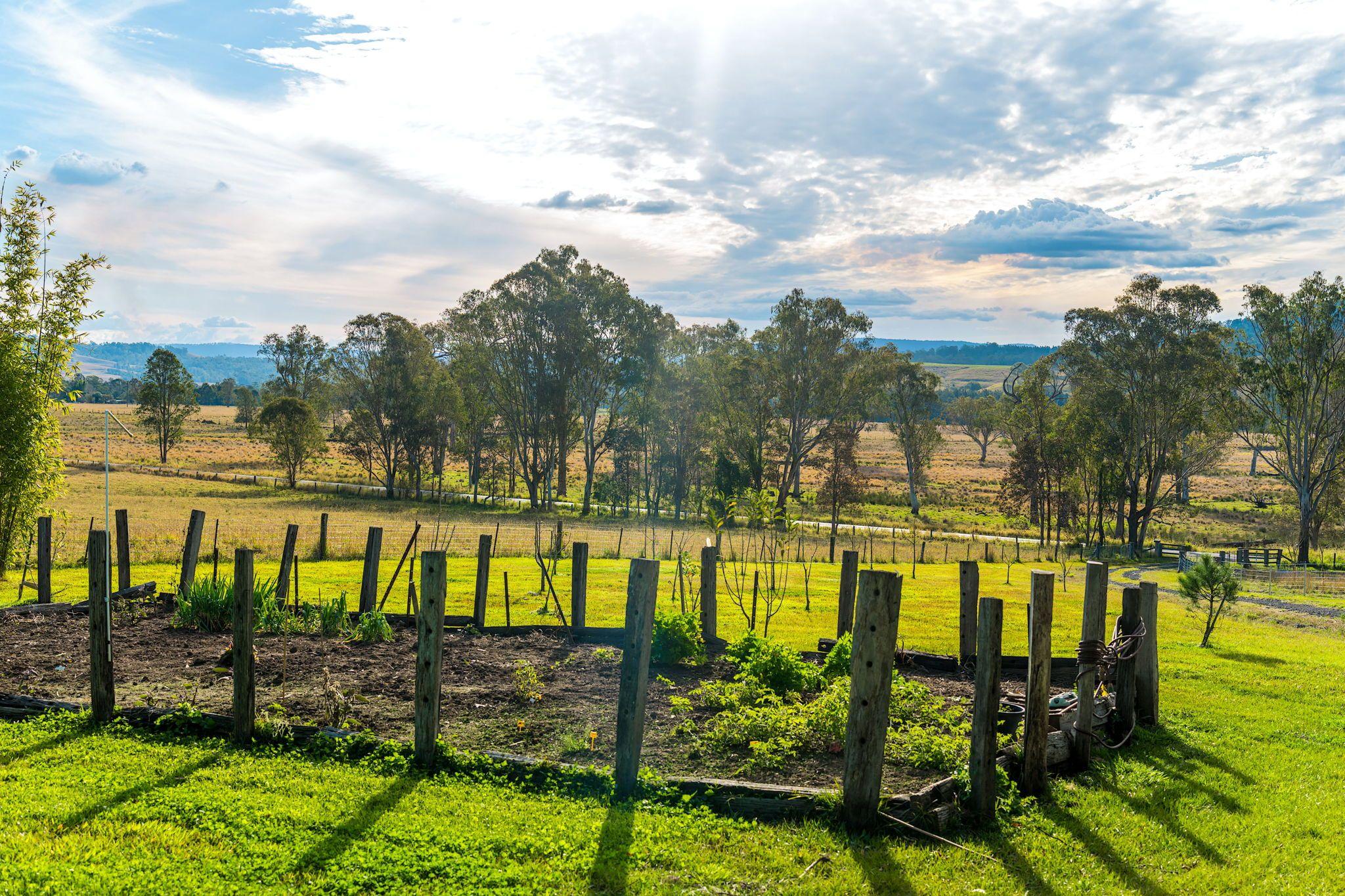 Mixed Farming for Sale: Old Bonalbo, NSW 2469, NSW, 2469