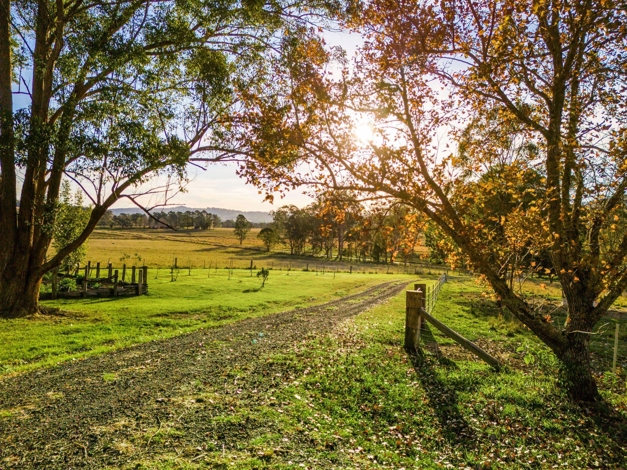 Mixed Farming for Sale: Old Bonalbo, NSW 2469, NSW, 2469