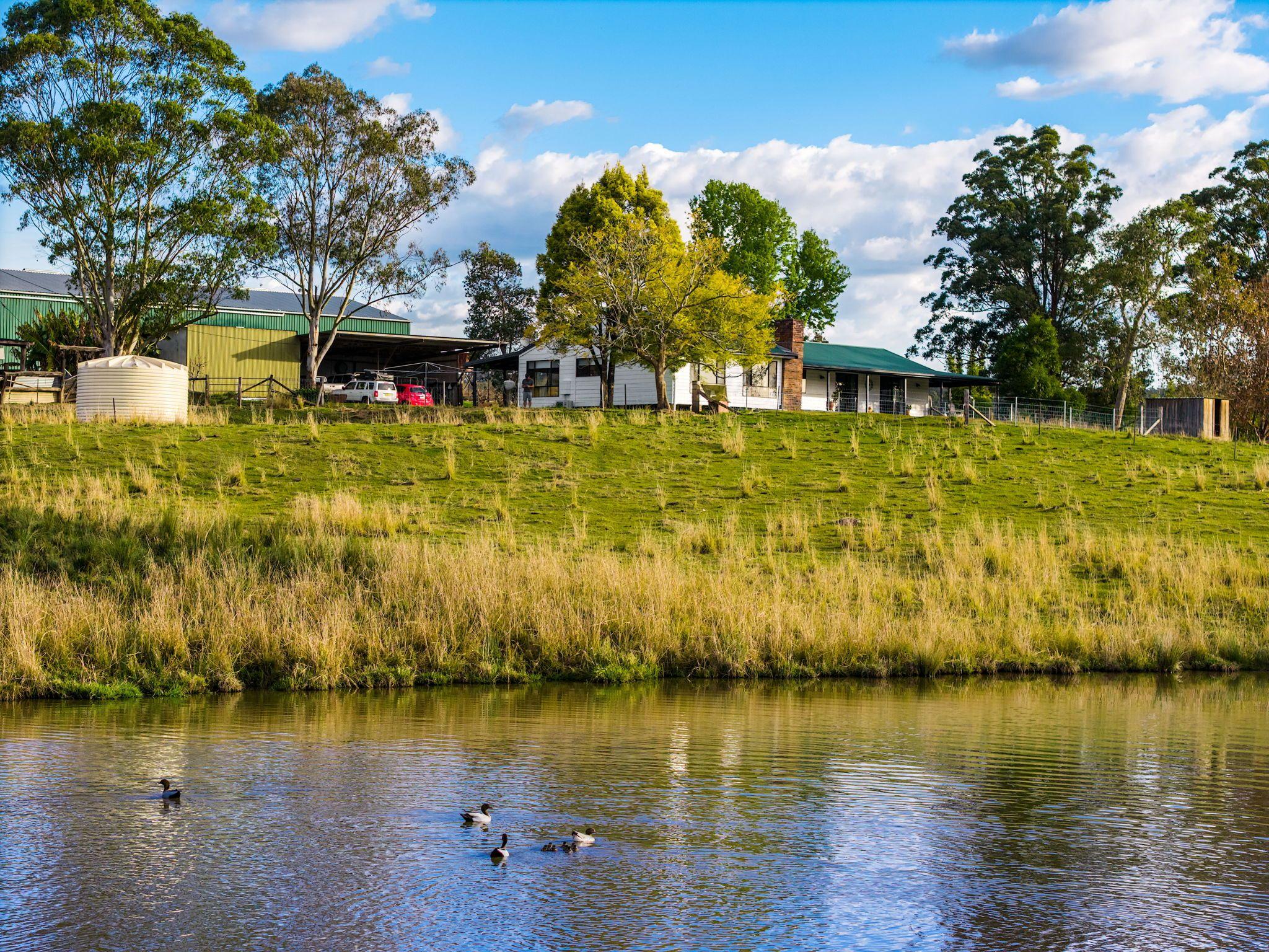 Mixed Farming for Sale: Old Bonalbo, NSW 2469, NSW, 2469