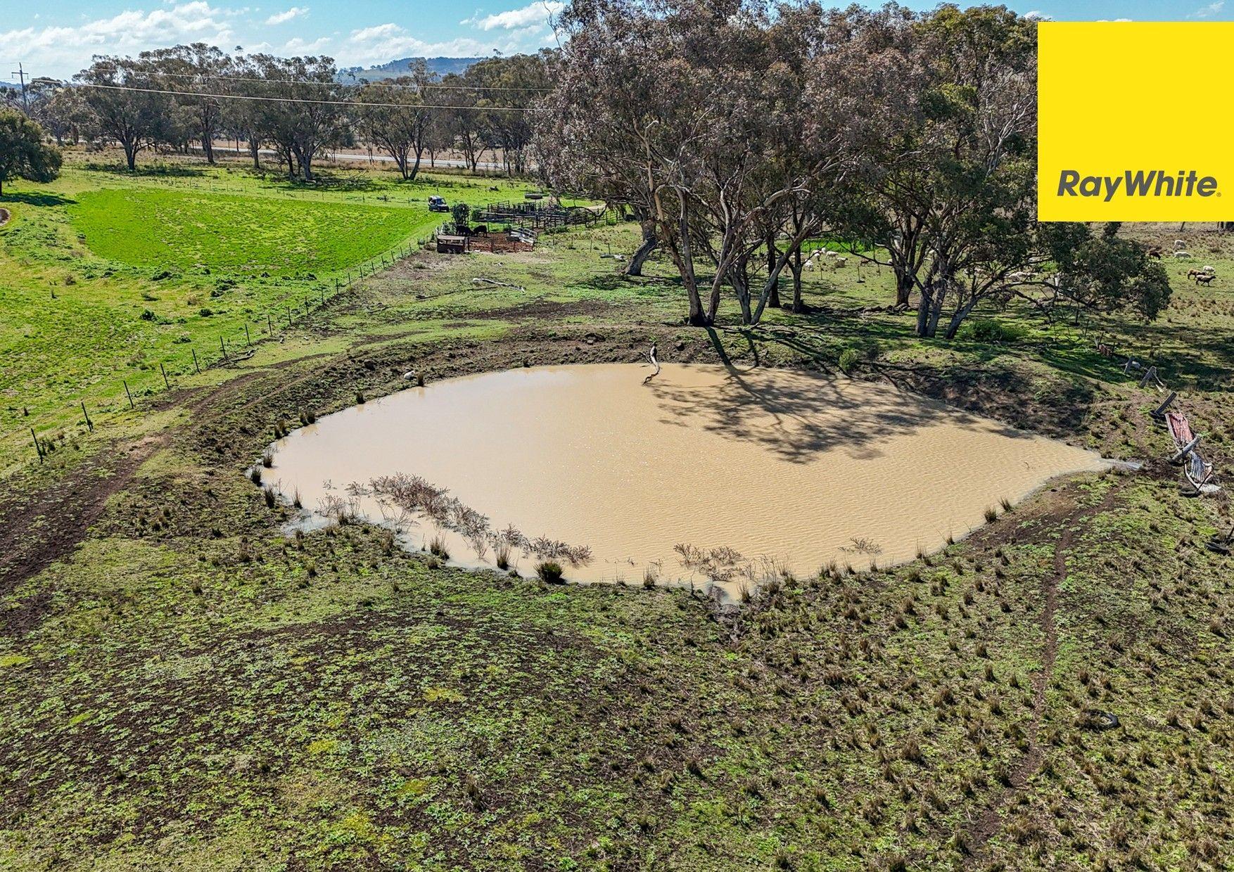 Lifestyle for Sale: Inverell, NSW 2360, NSW, 2360