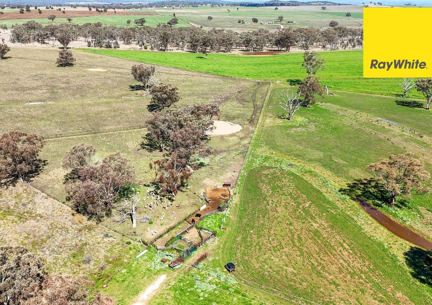 Lifestyle for Sale: Inverell, NSW 2360, NSW, 2360