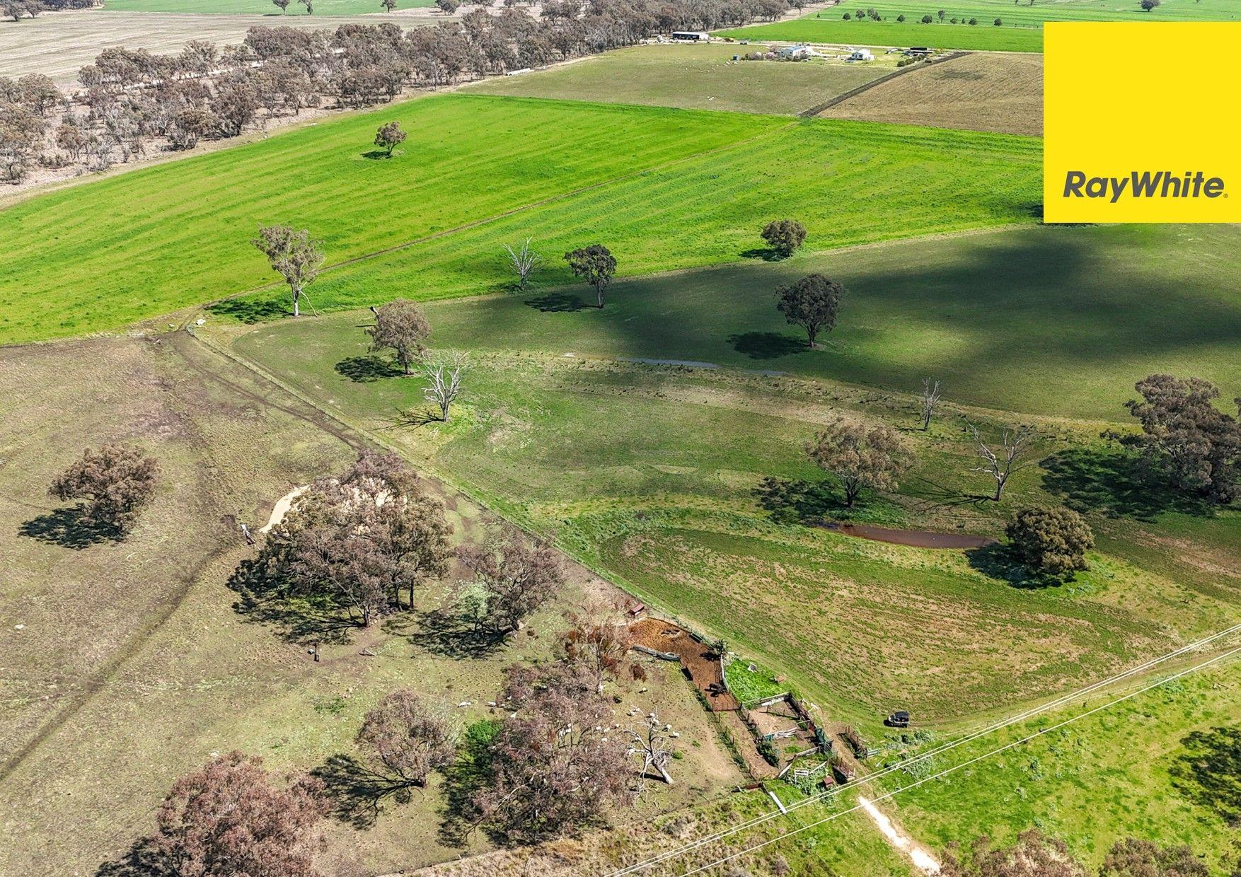 Lifestyle for Sale: Inverell, NSW 2360, NSW, 2360