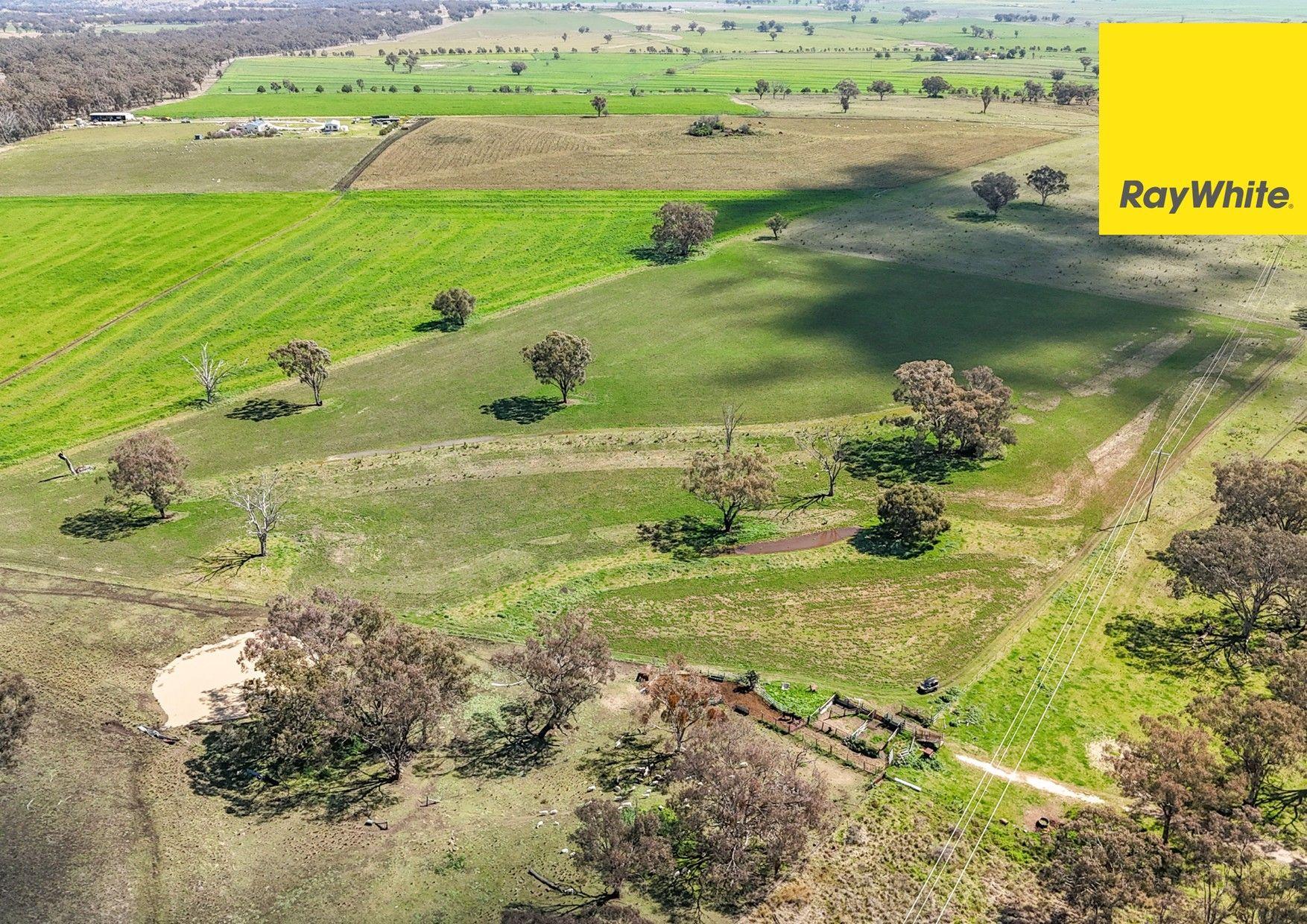 Lifestyle for Sale: Inverell, NSW 2360, NSW, 2360