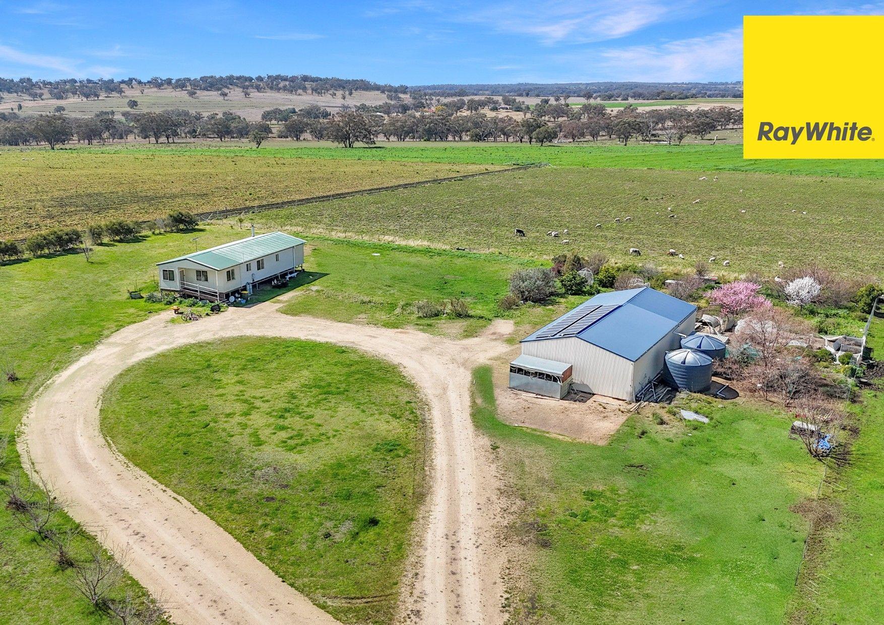 Lifestyle for Sale: Inverell, NSW 2360, NSW, 2360