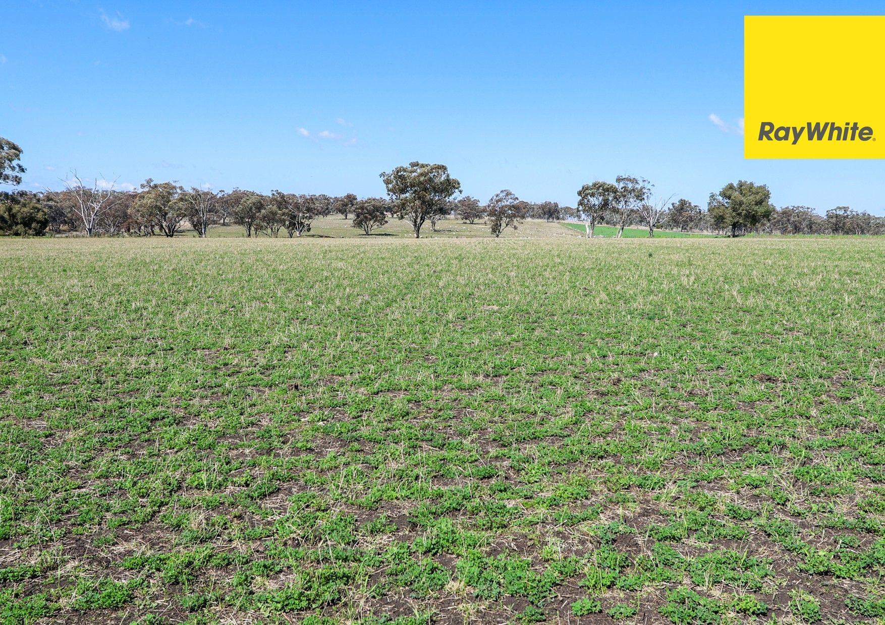 Lifestyle for Sale: Inverell, NSW 2360, NSW, 2360