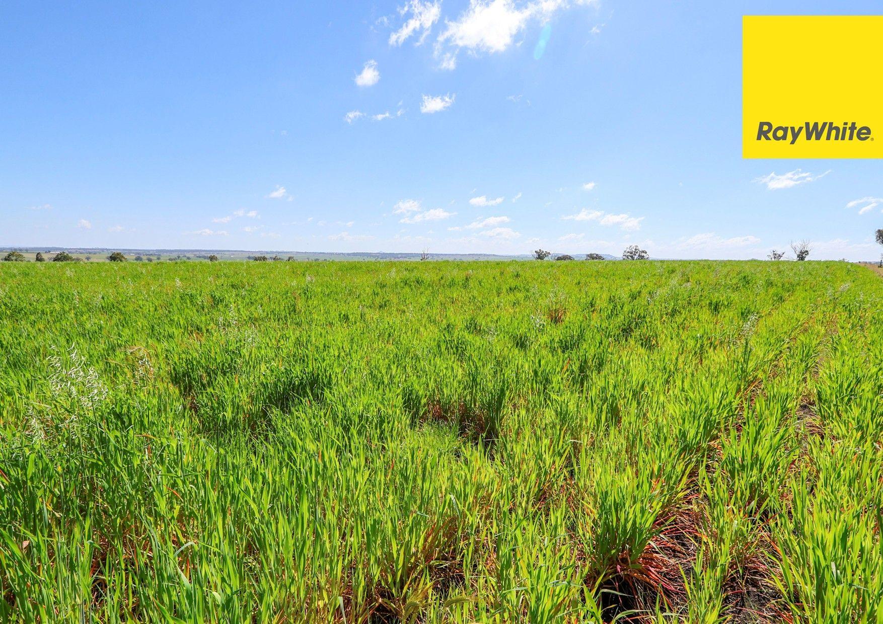 Lifestyle for Sale: Inverell, NSW 2360, NSW, 2360
