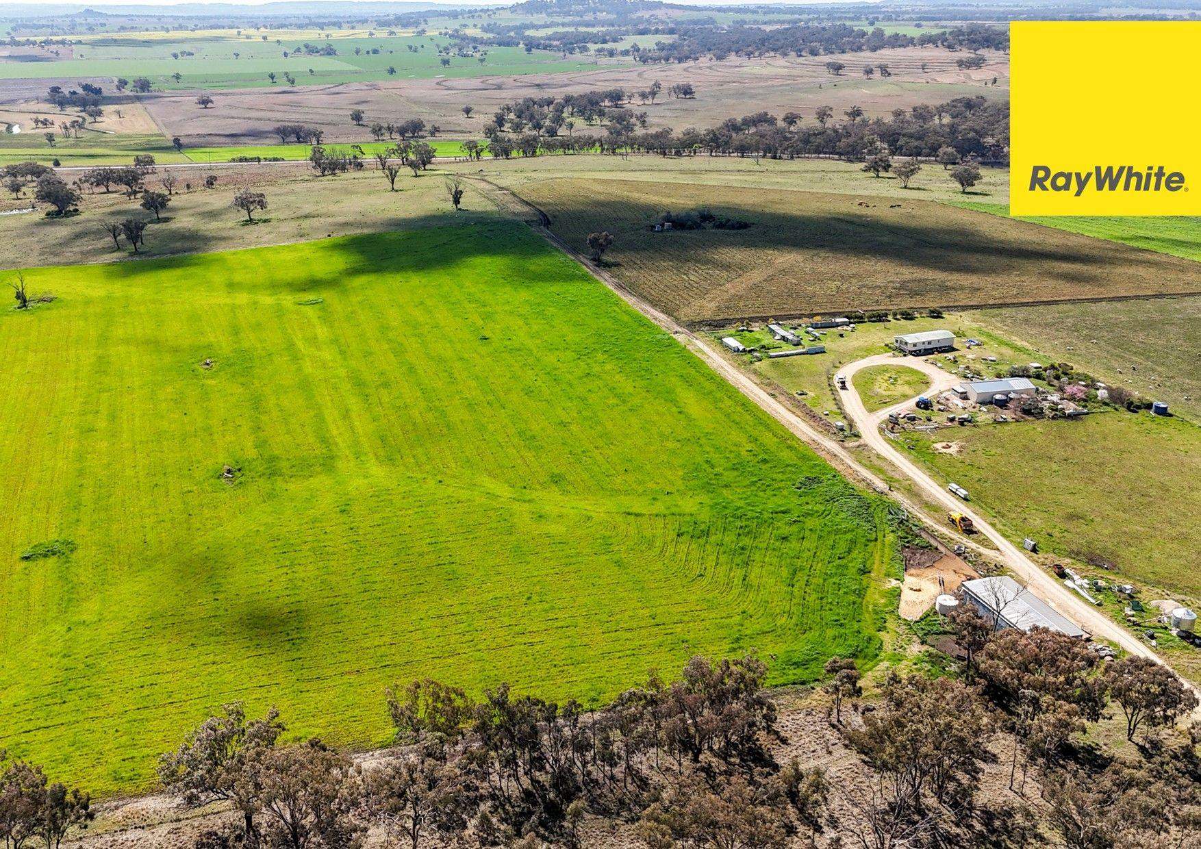 Lifestyle for Sale: Inverell, NSW 2360, NSW, 2360