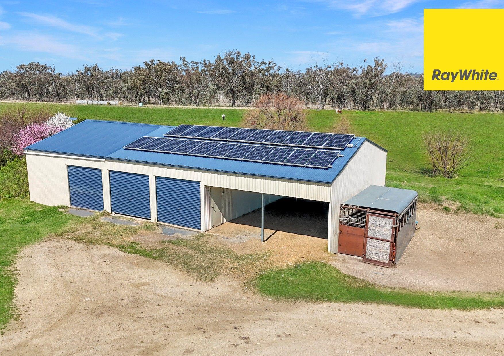 Lifestyle for Sale: Inverell, NSW 2360, NSW, 2360